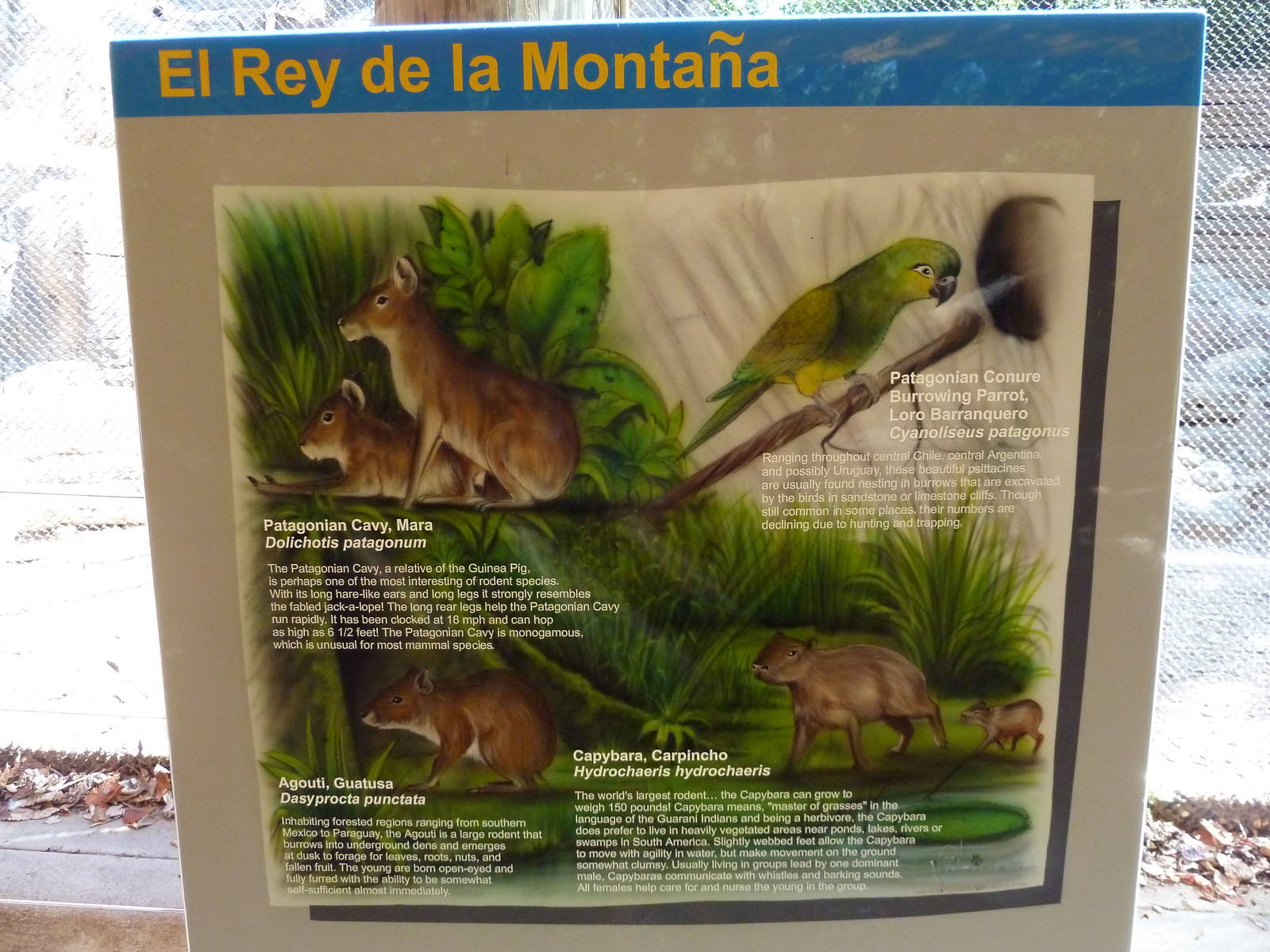 Mixed-Species Exhibit - Signage