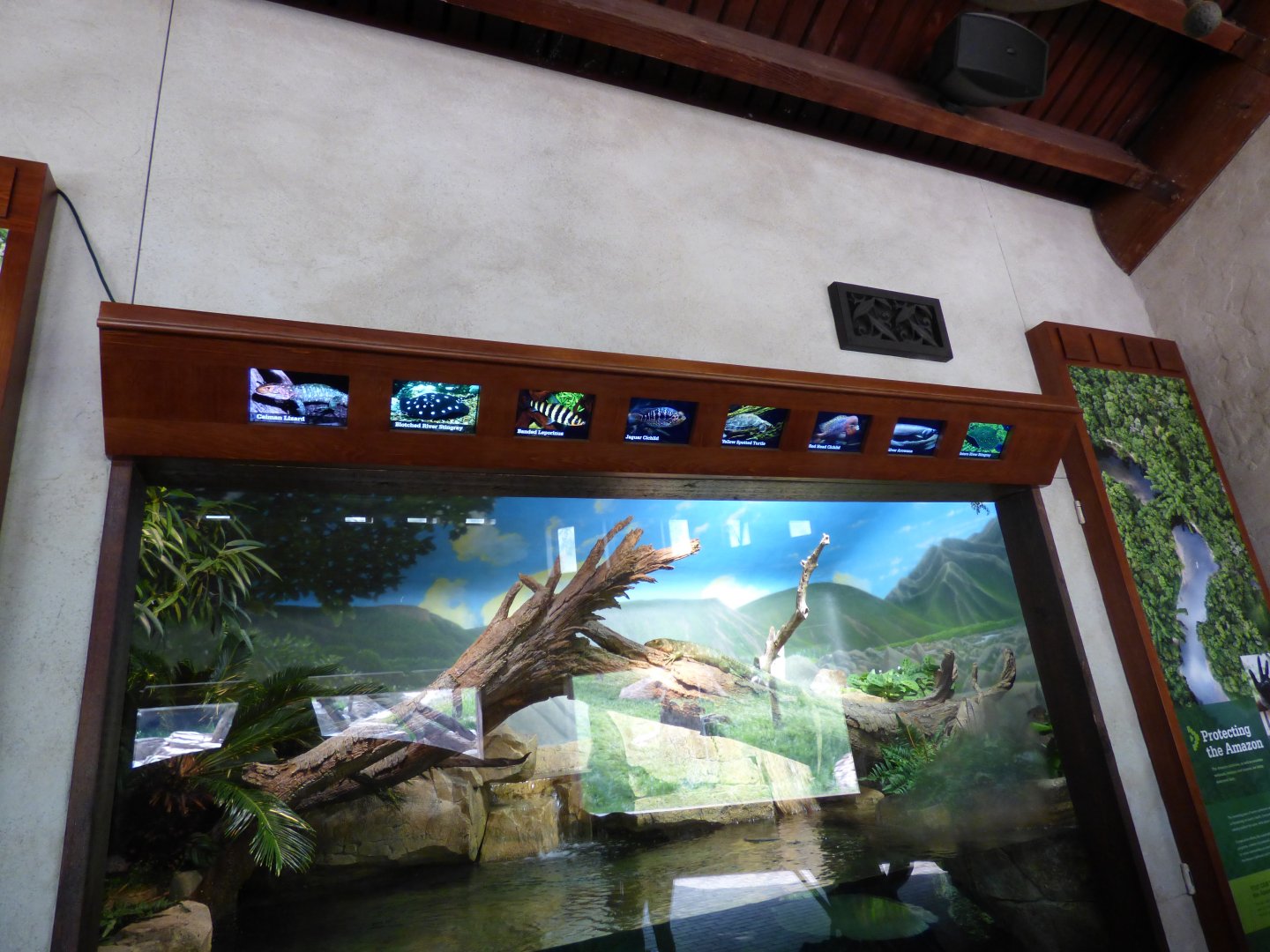 Mixed Species Exhibit with Signage (Expedition Peru) - May 2018