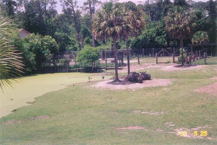 Mixed Species Exhibit