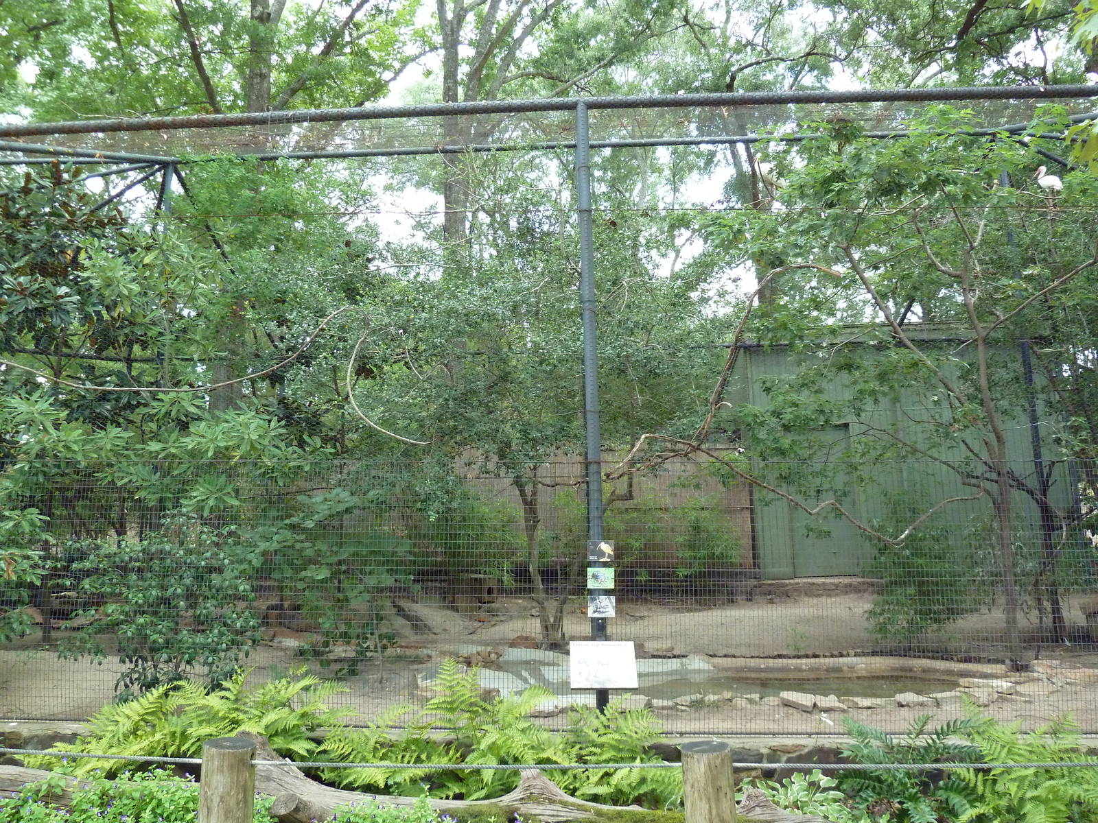 Mixed-Species Exhibit