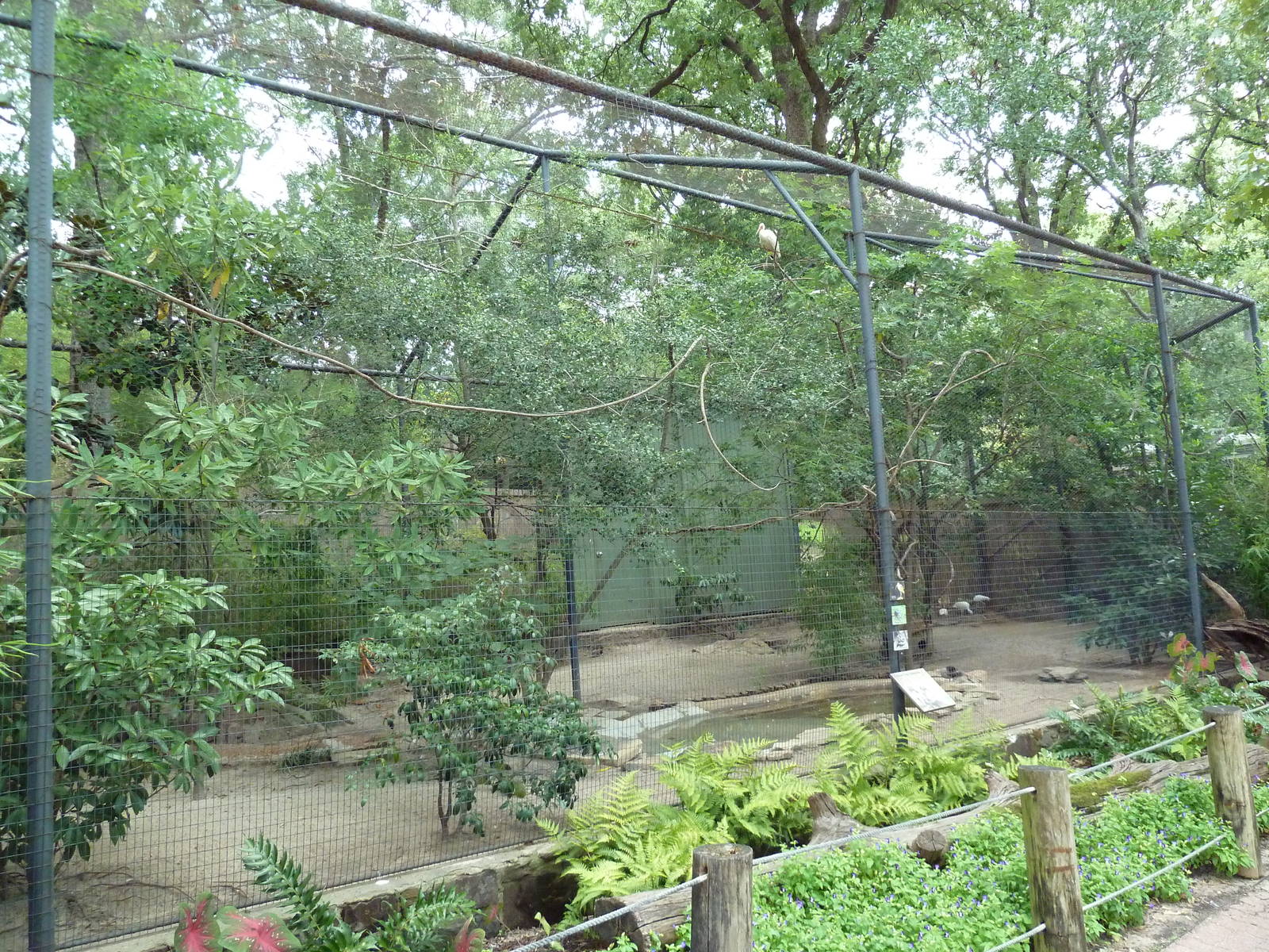 Mixed-Species Exhibit