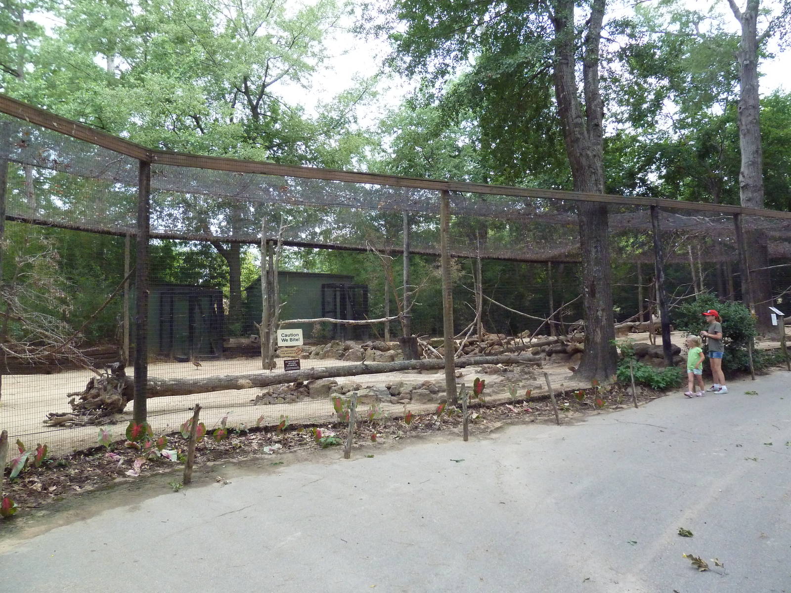 Mixed-Species Exhibit