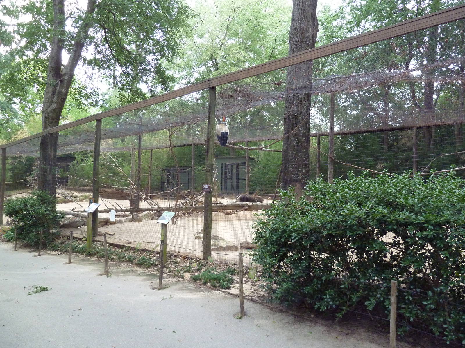 Mixed-Species Exhibit