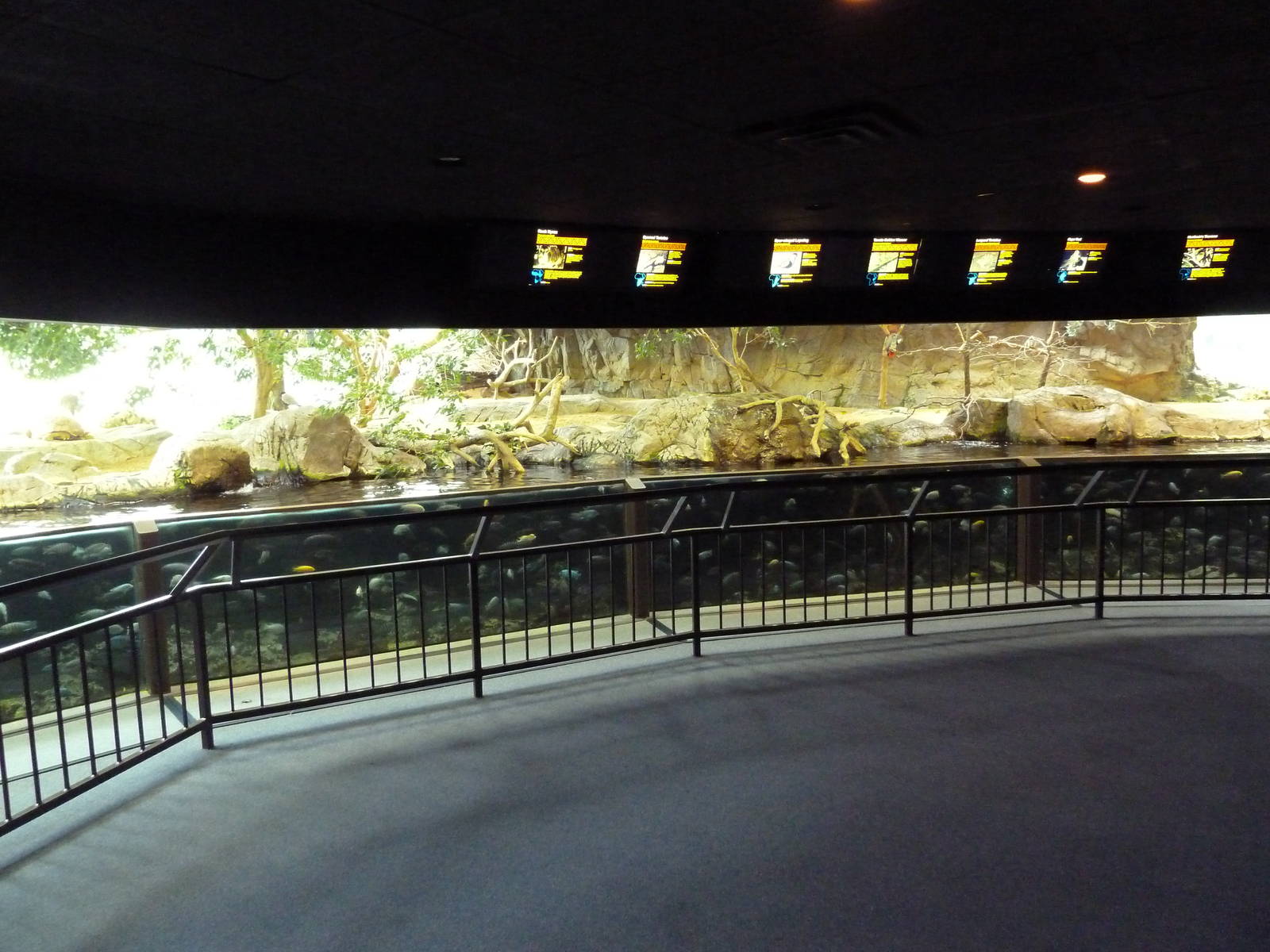 Mixed-Species Exhibit