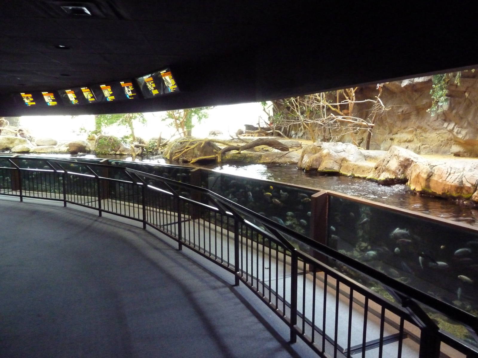 Mixed-Species Exhibit