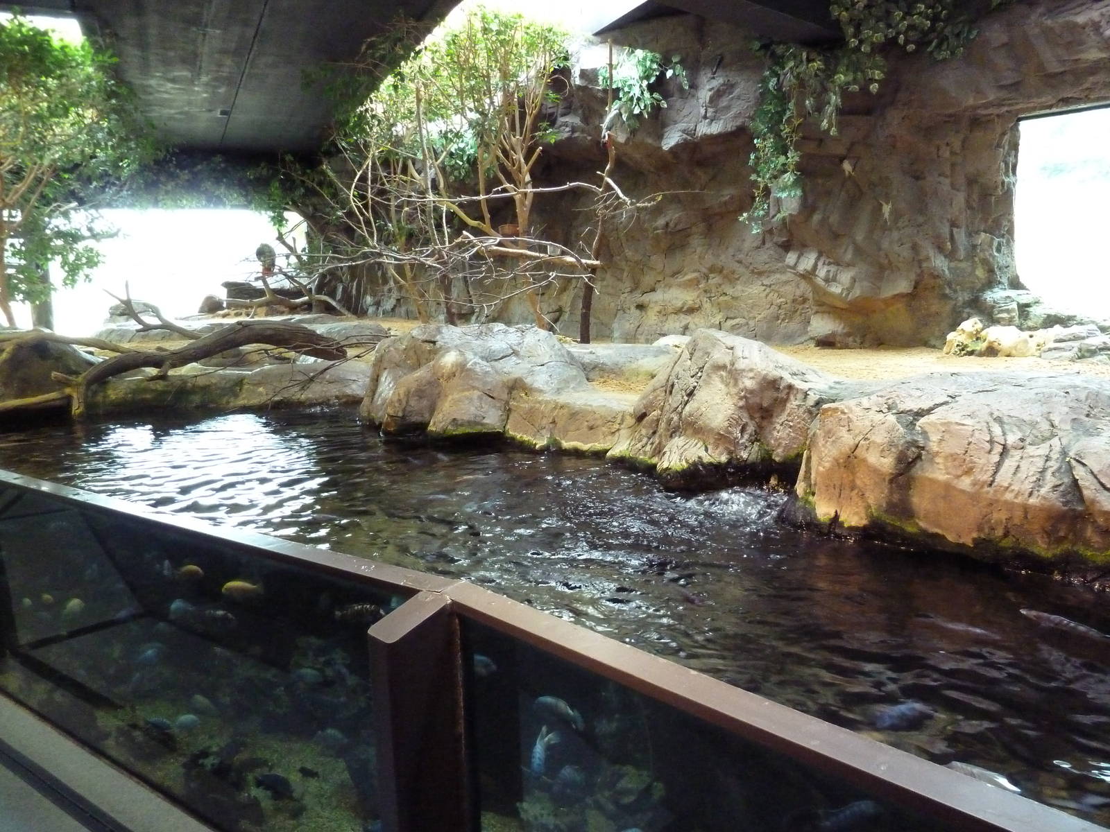 Mixed-Species Exhibit