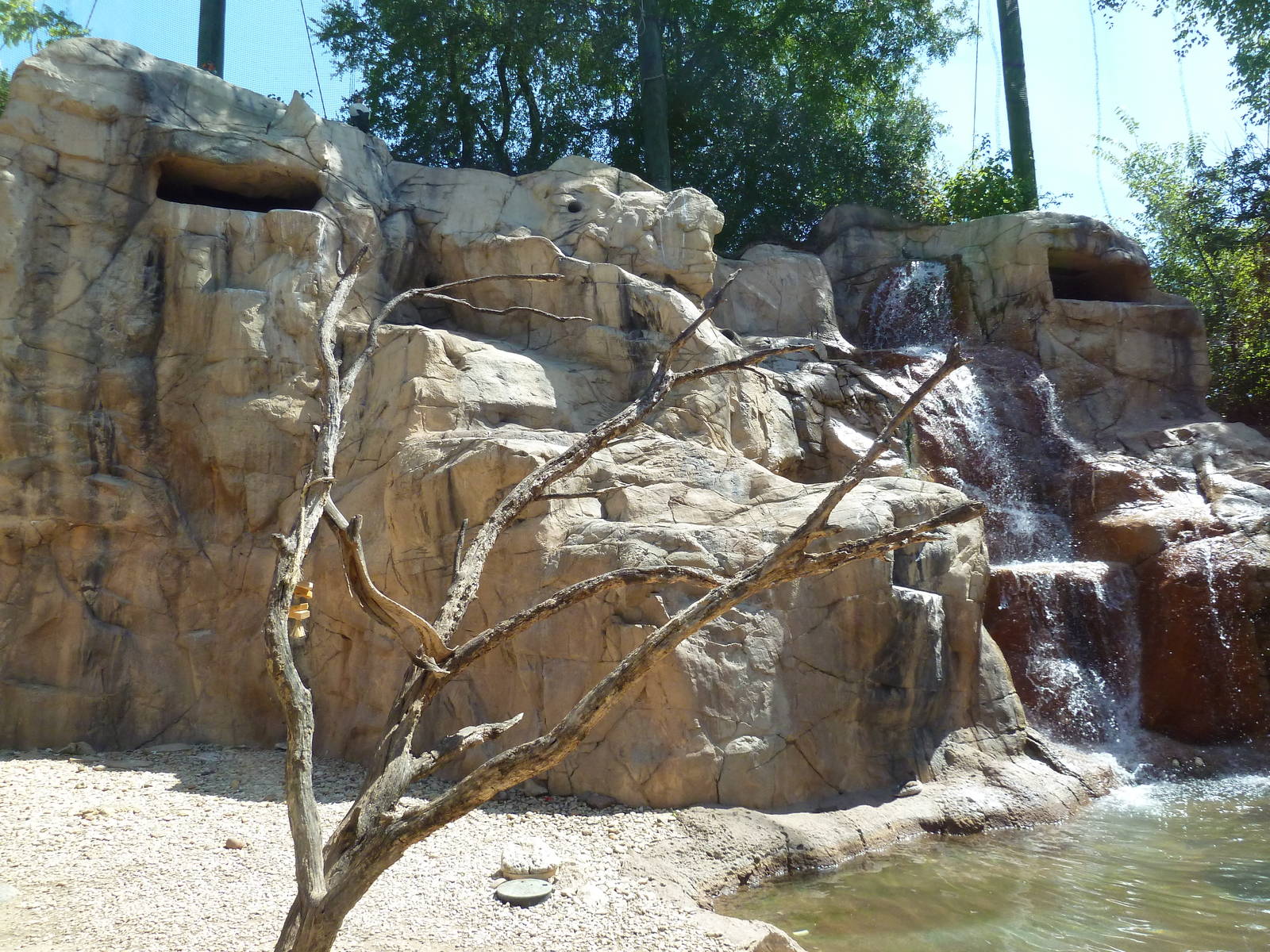 Mixed-Species Exhibit