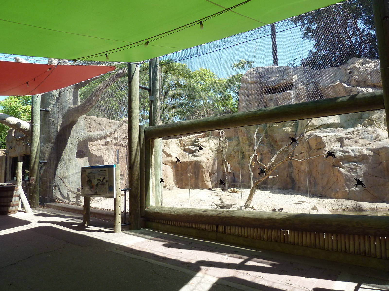 Mixed-Species Exhibit