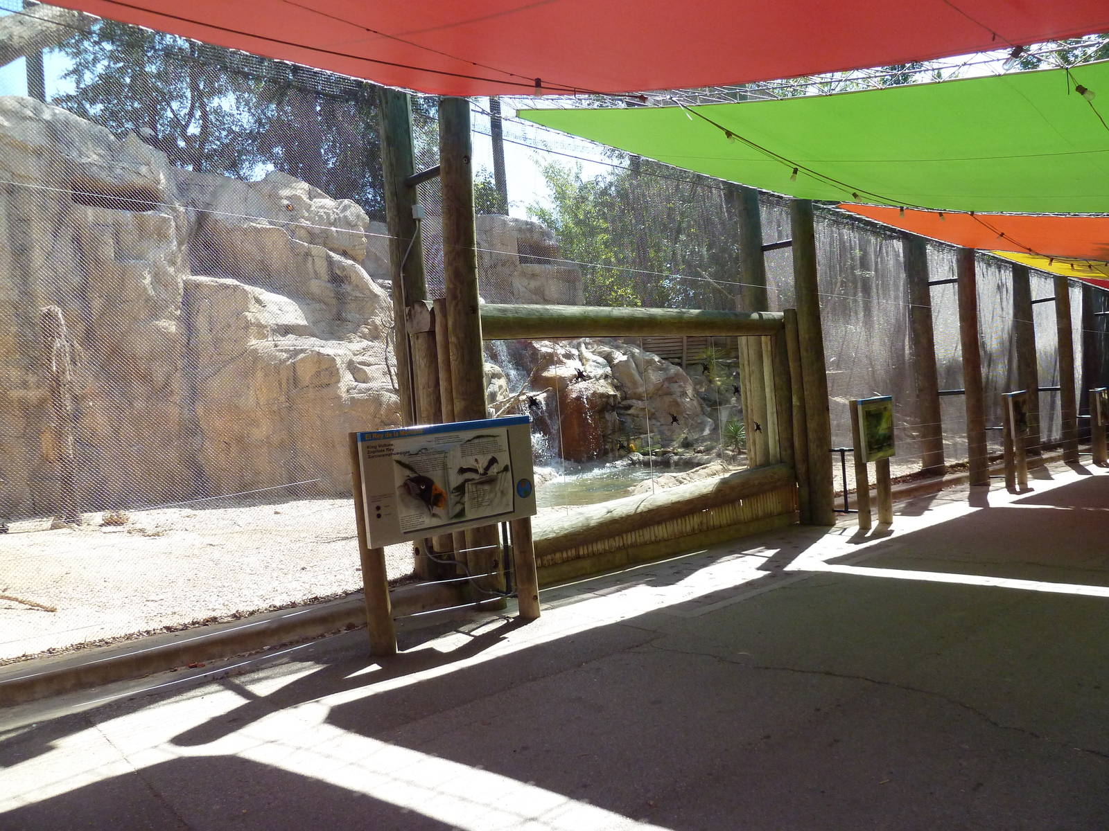 Mixed-Species Exhibit