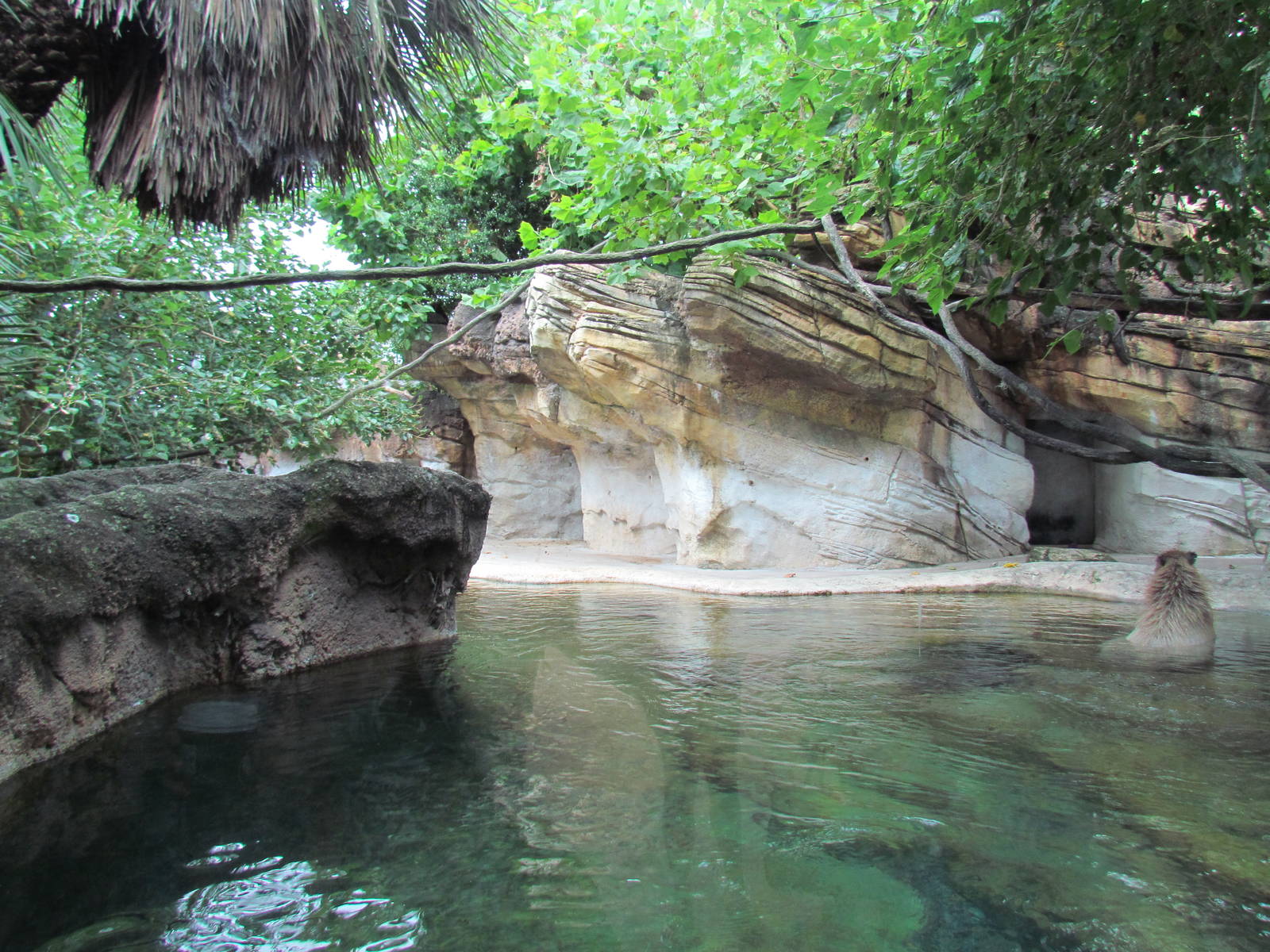 Mixed Species Exhibit