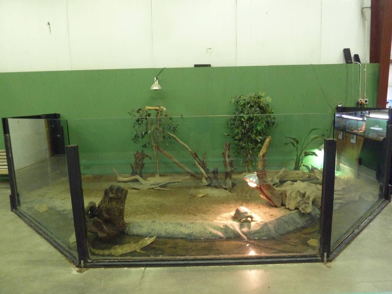 Mixed-Species Exhibit