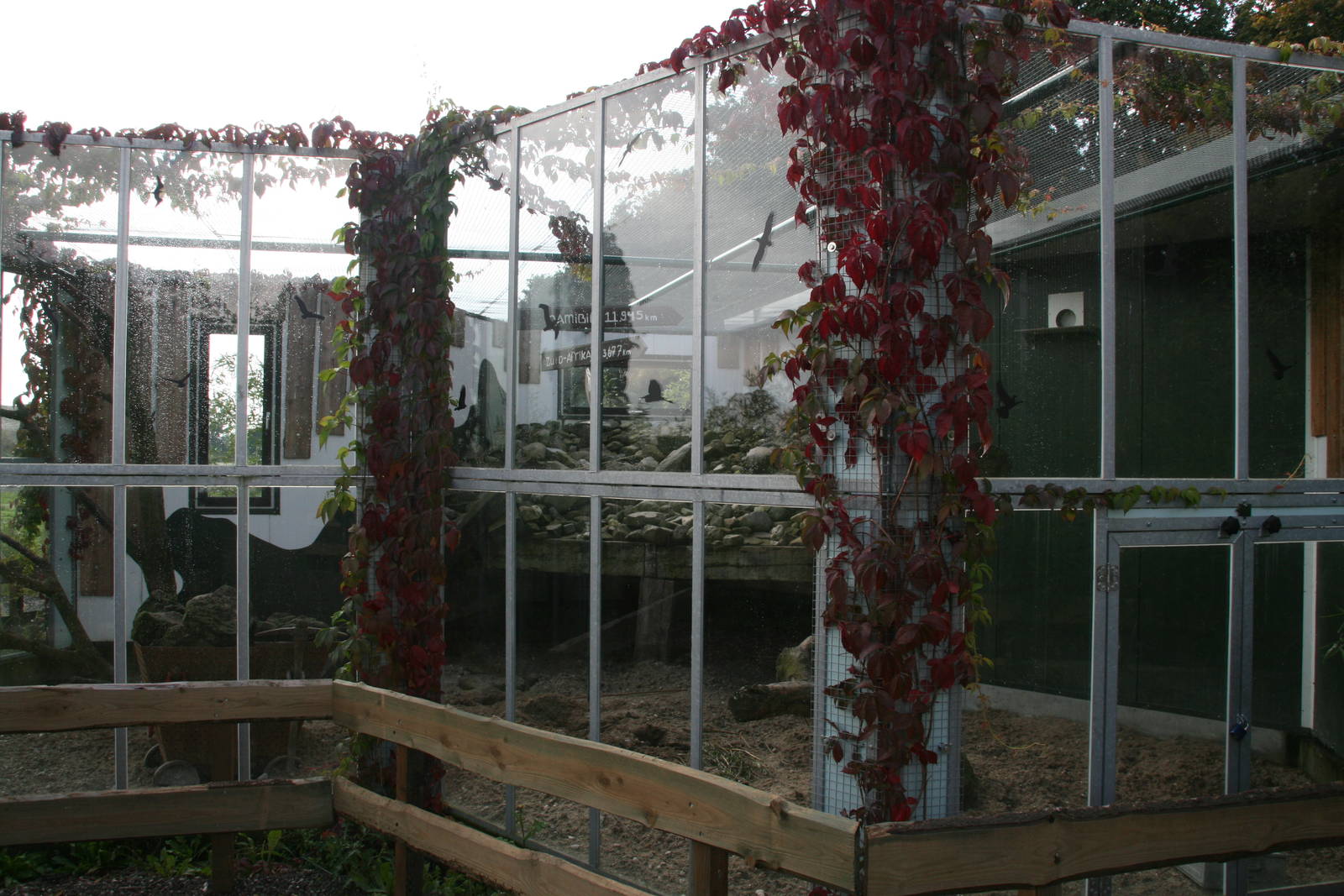 mixed species exhibit