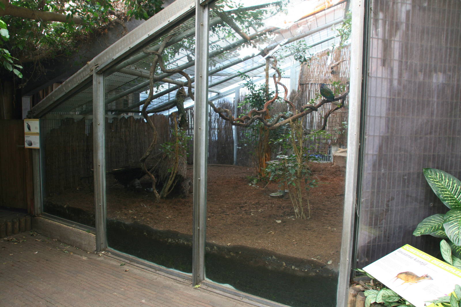 mixed species exhibit