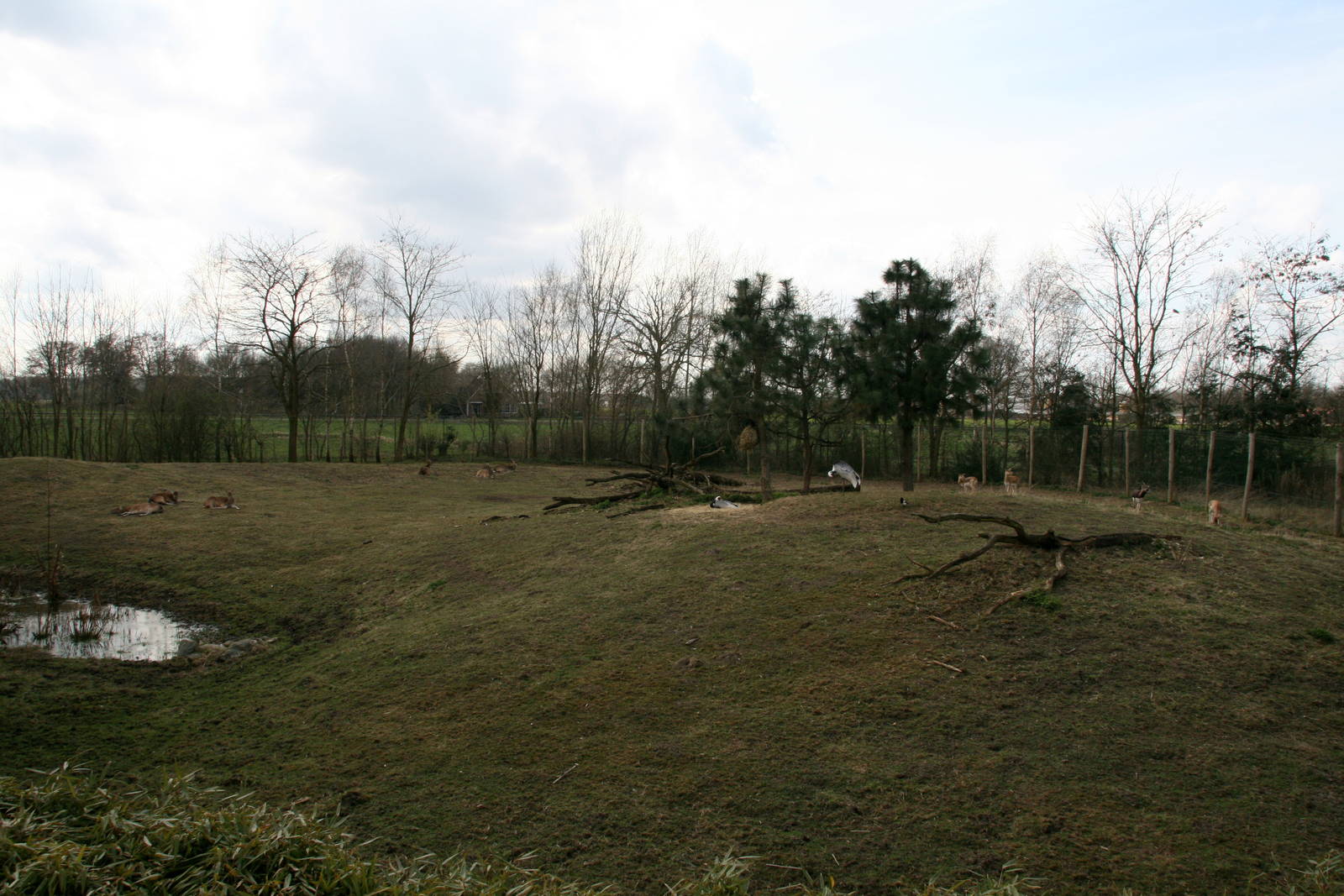 mixed species exhibit