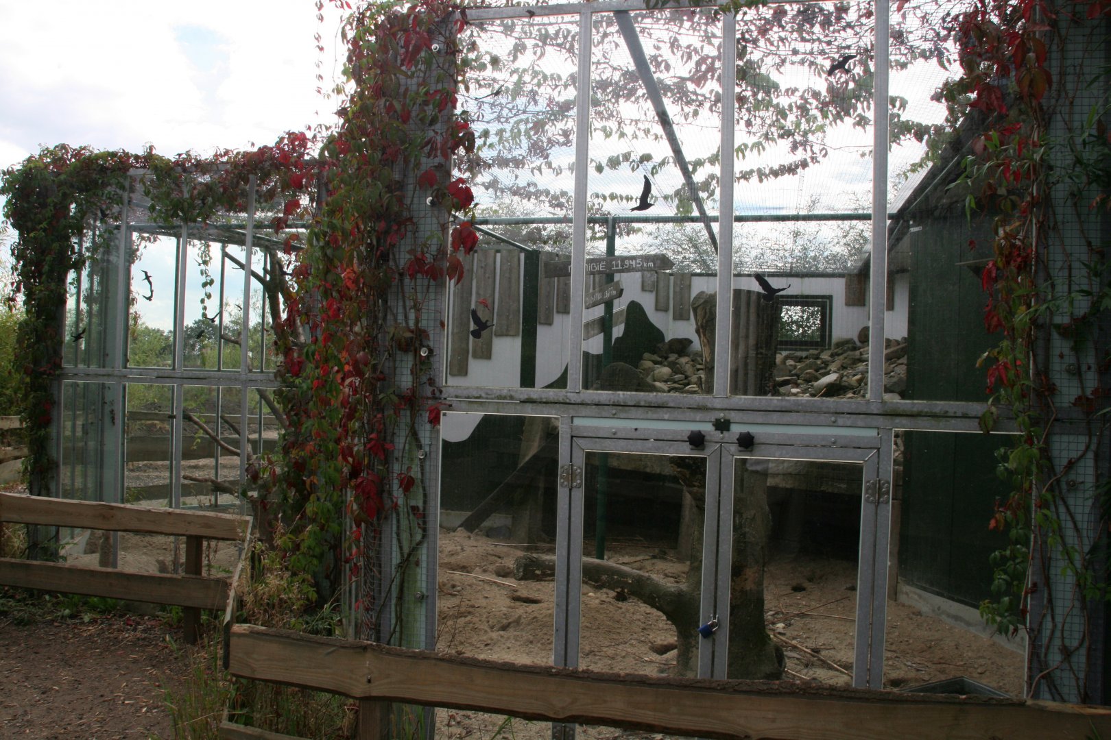 Mixed species exhibit