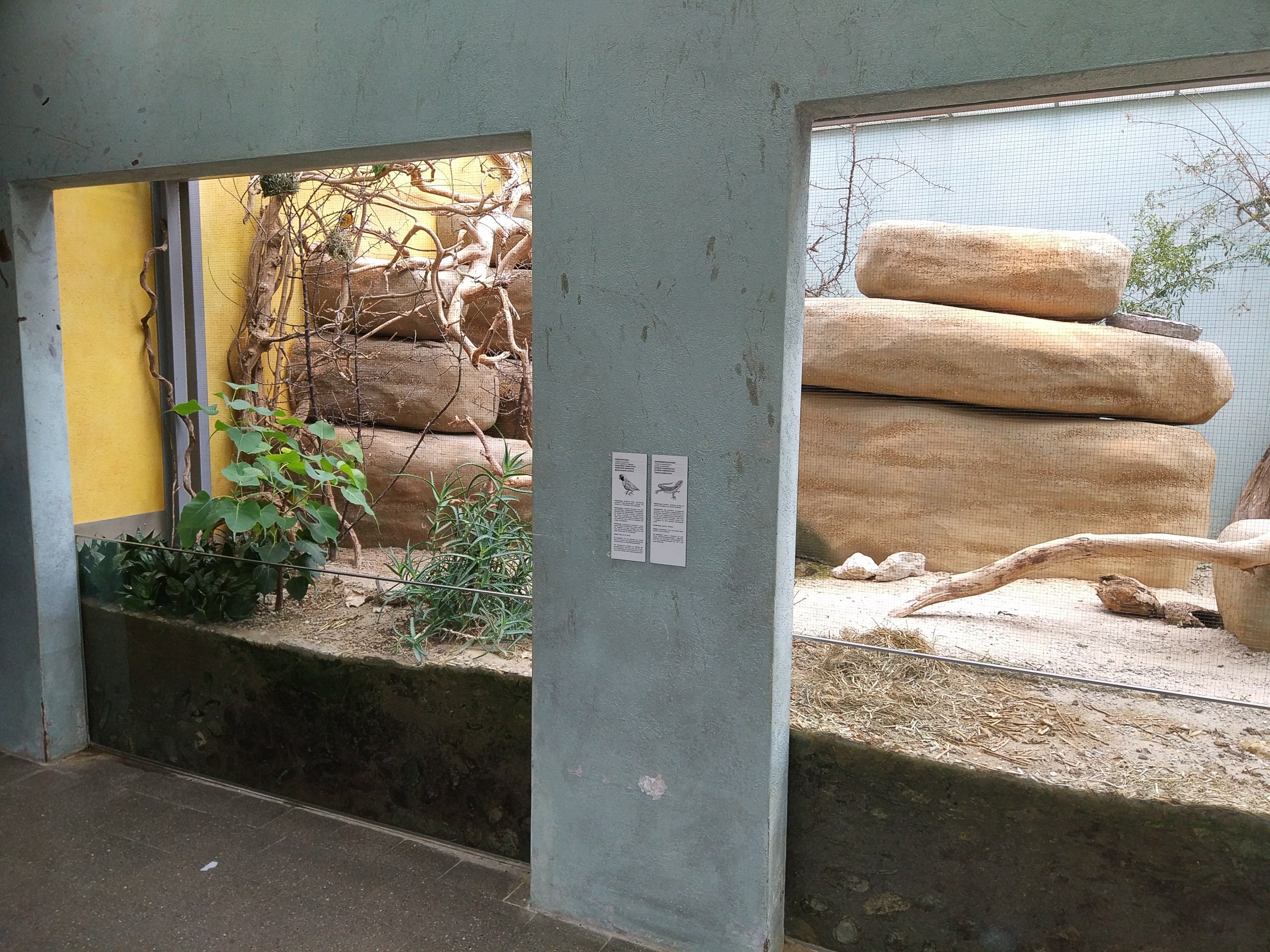 Mixed Species exhibit