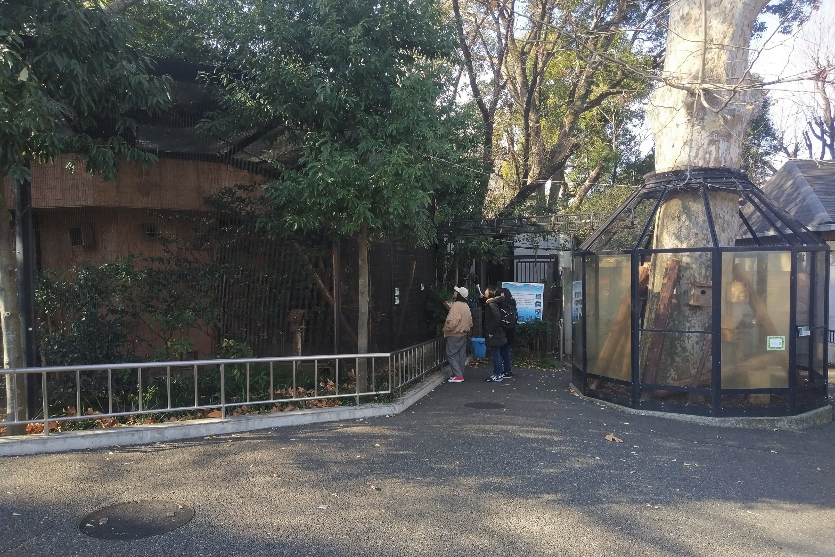 Mixed Species Exhibit