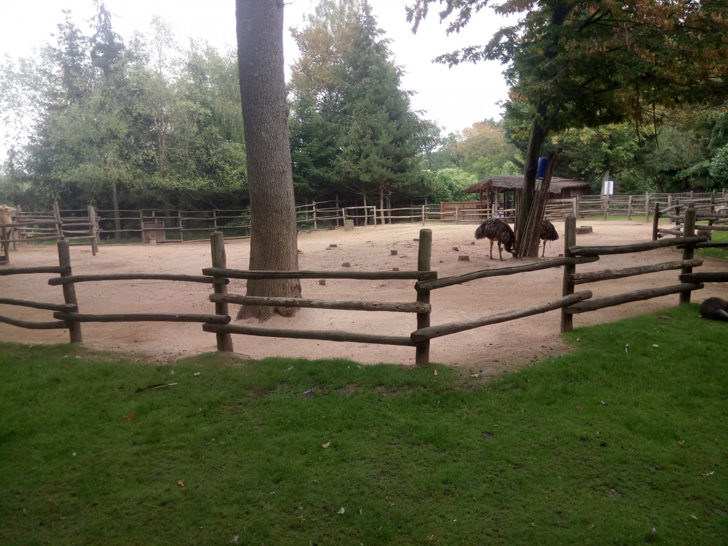 Mixed Species Exhibit