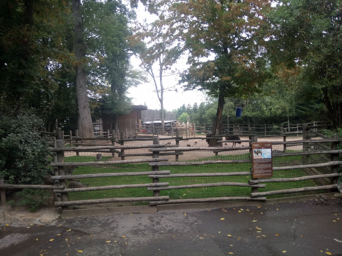 Mixed Species Exhibit