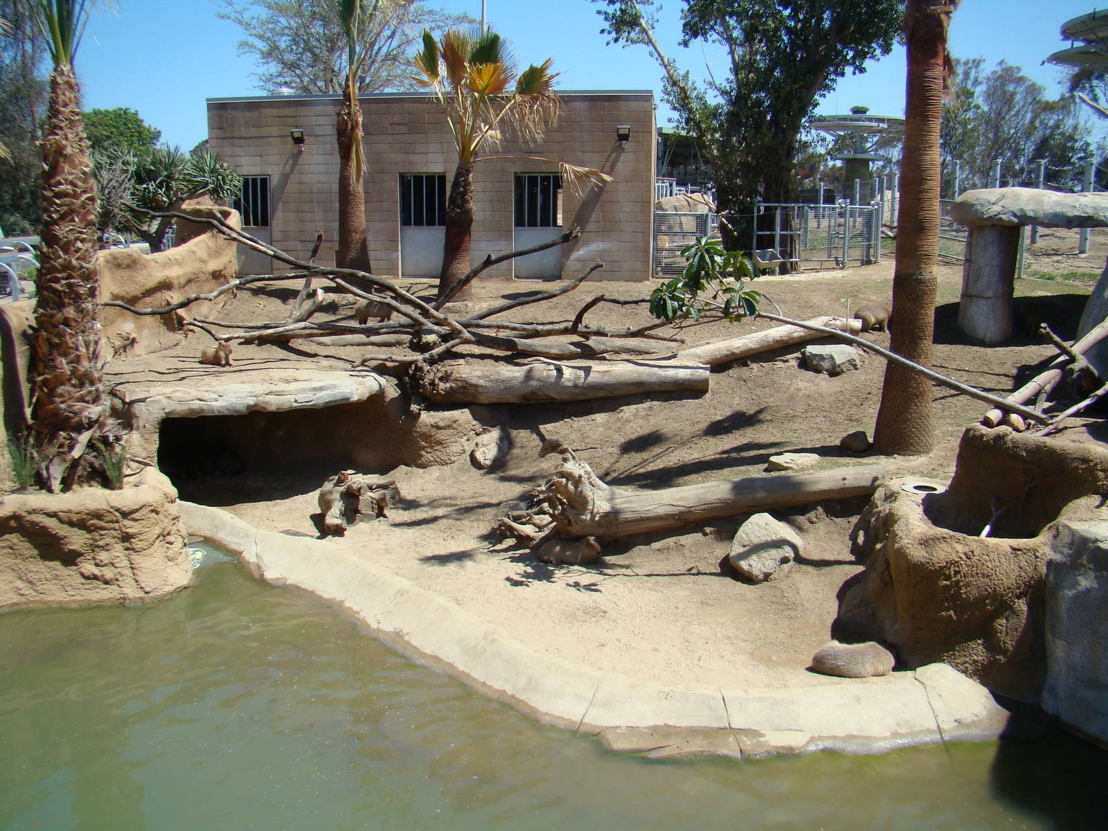 Mixed species exhibit