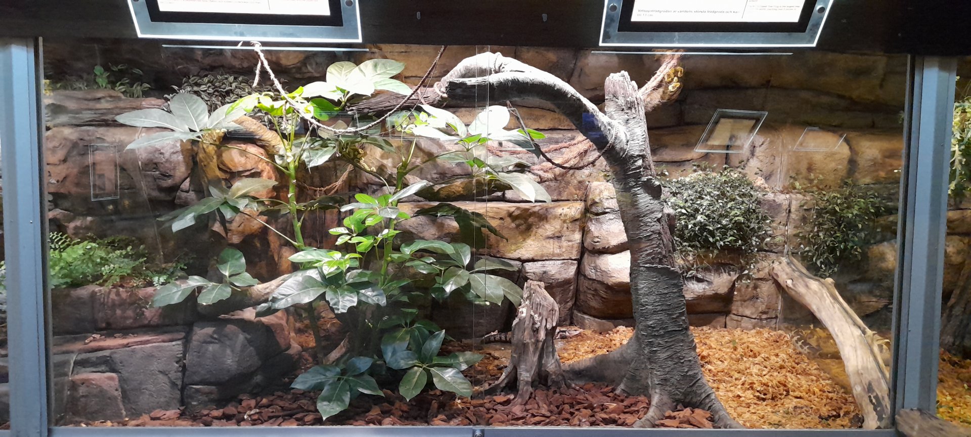 Mixed species exhibit