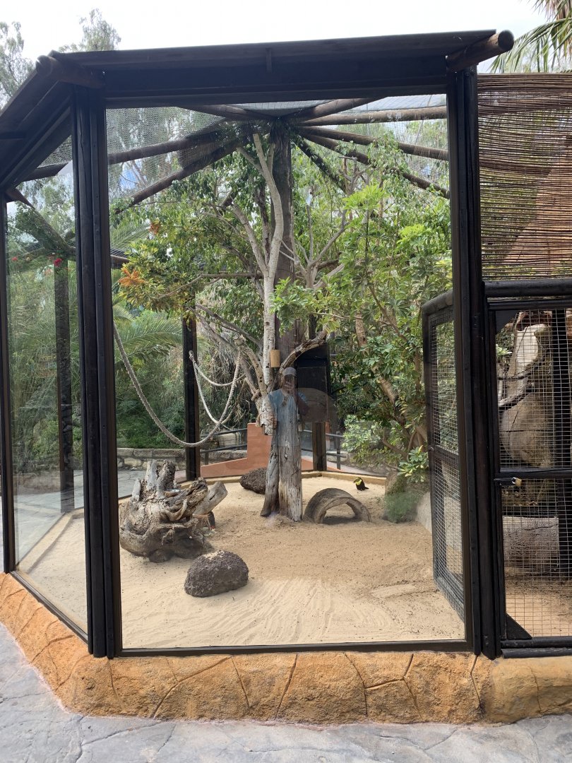 Mixed Species exhibit