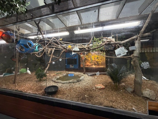 mixed species exhibit