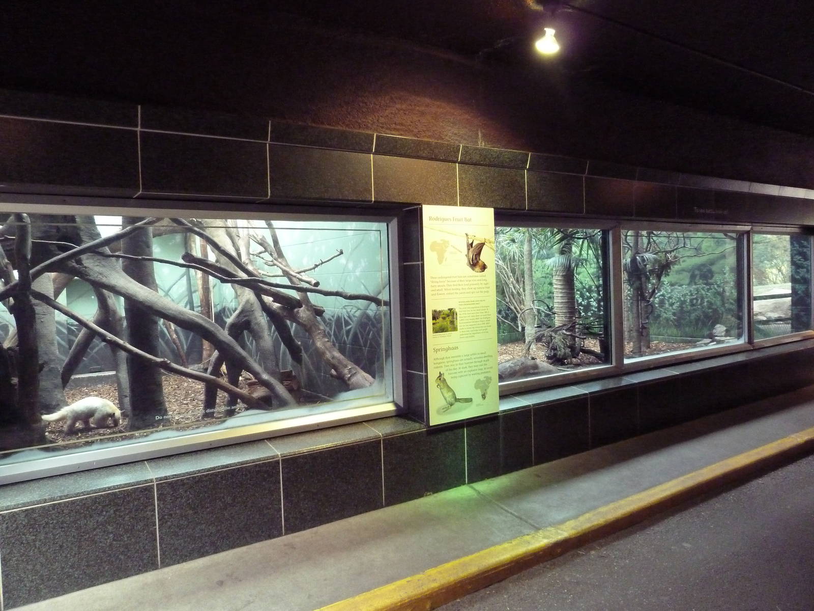 Mixed-Species Exhibits