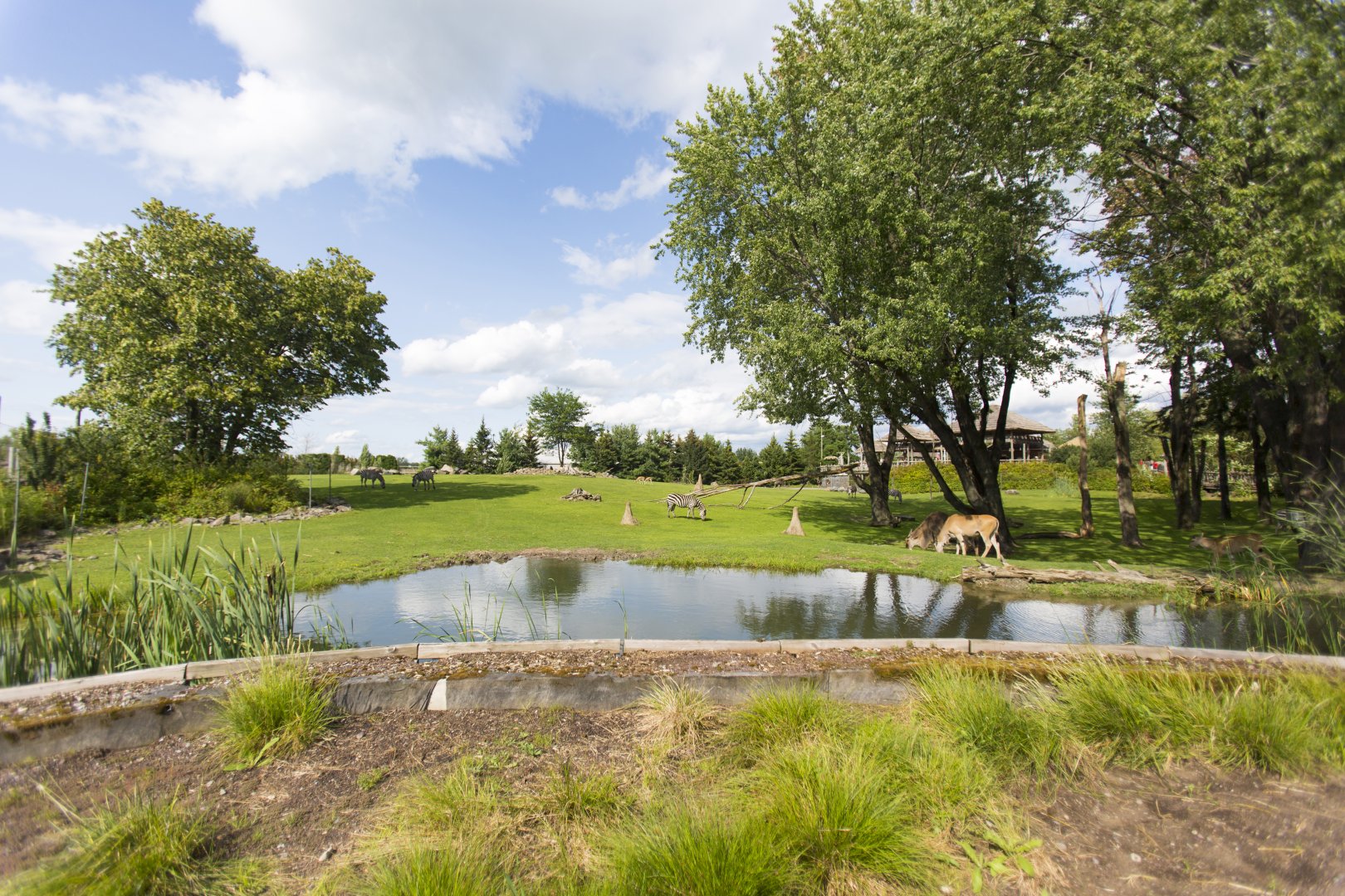 Mixed Species Habitat