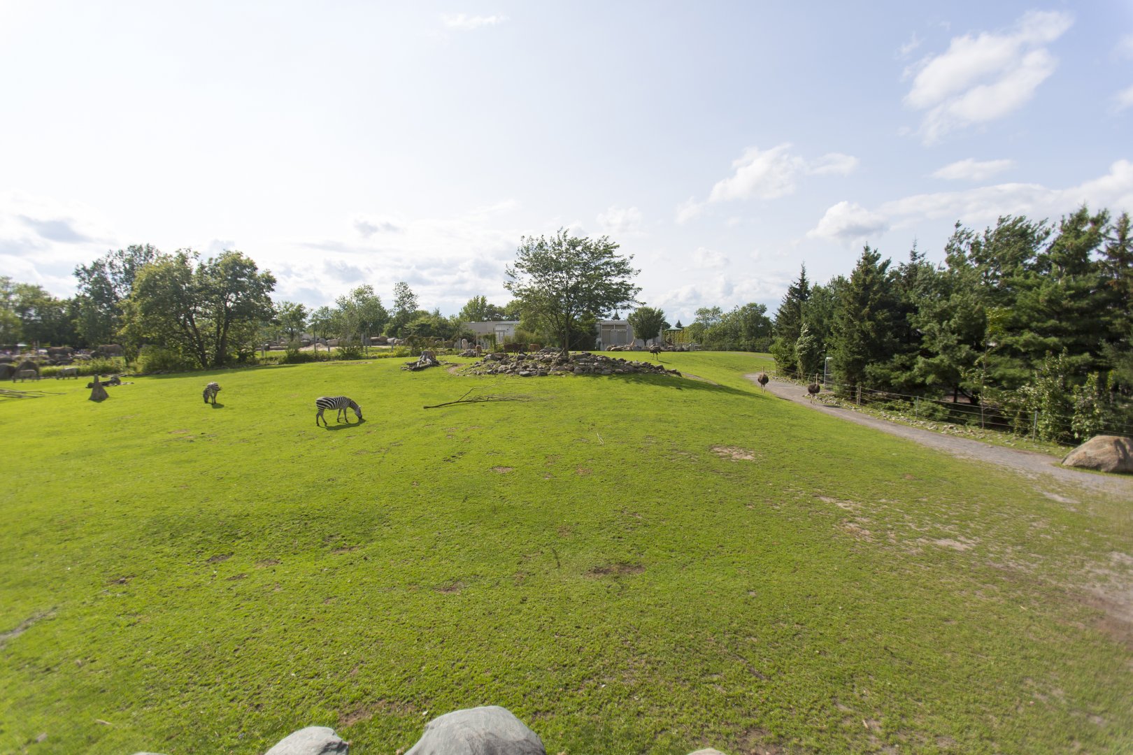 Mixed Species Habitat