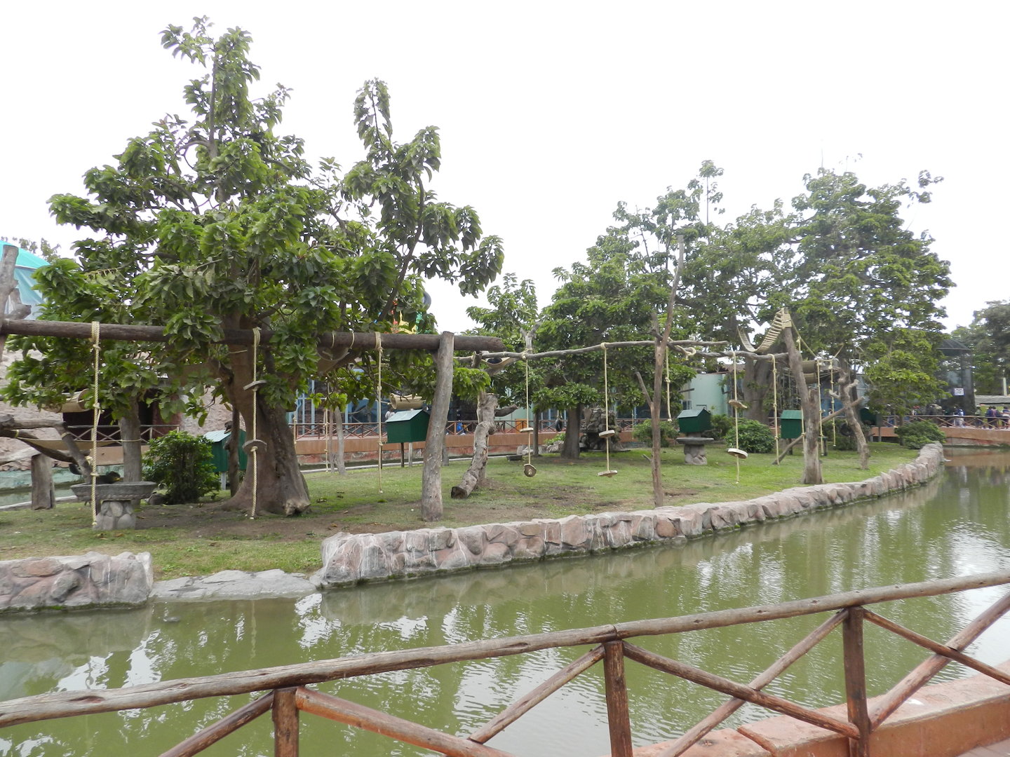 Mixed species island - Parque de Las Leyendas