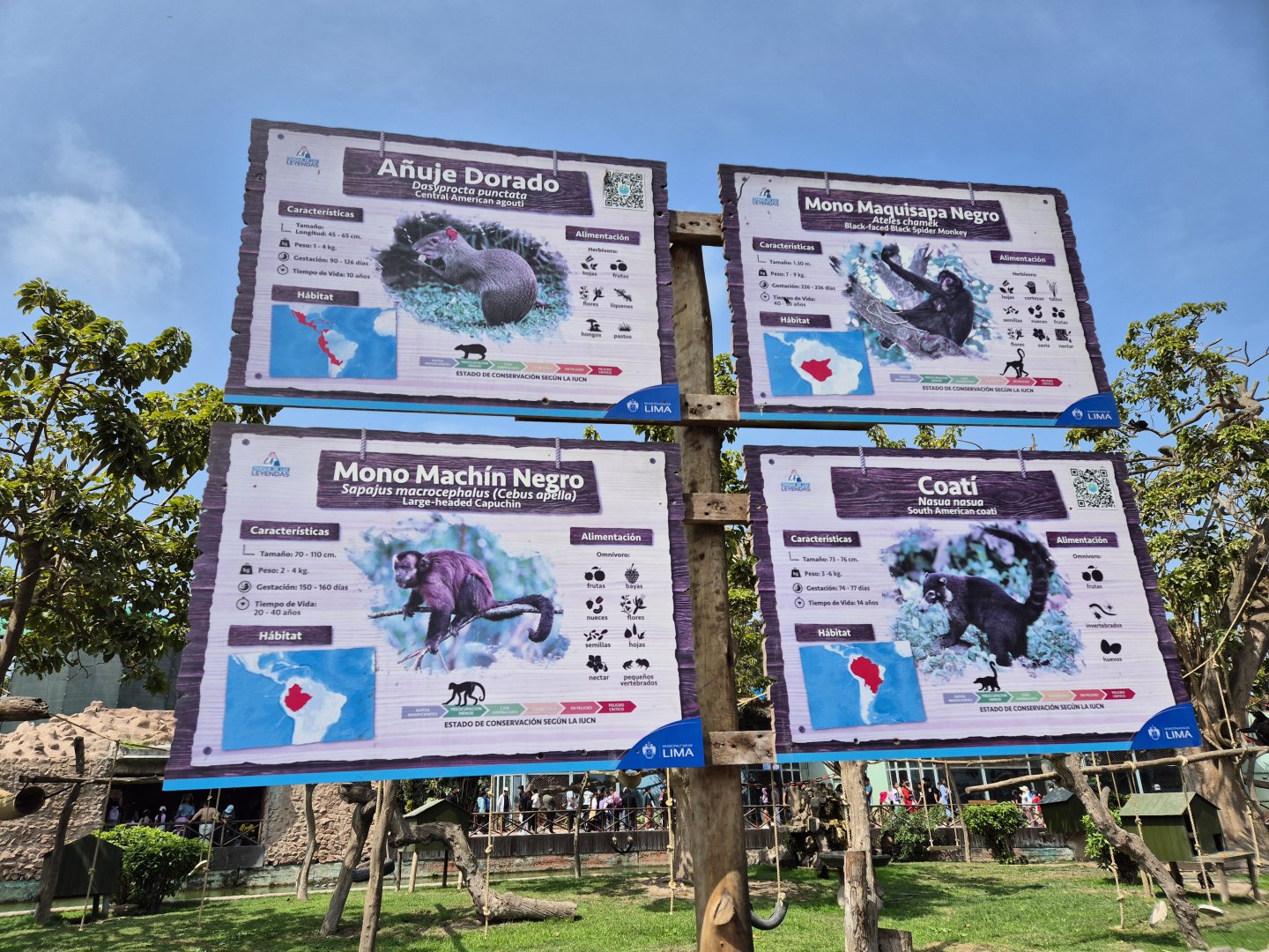 Mixed species island sign