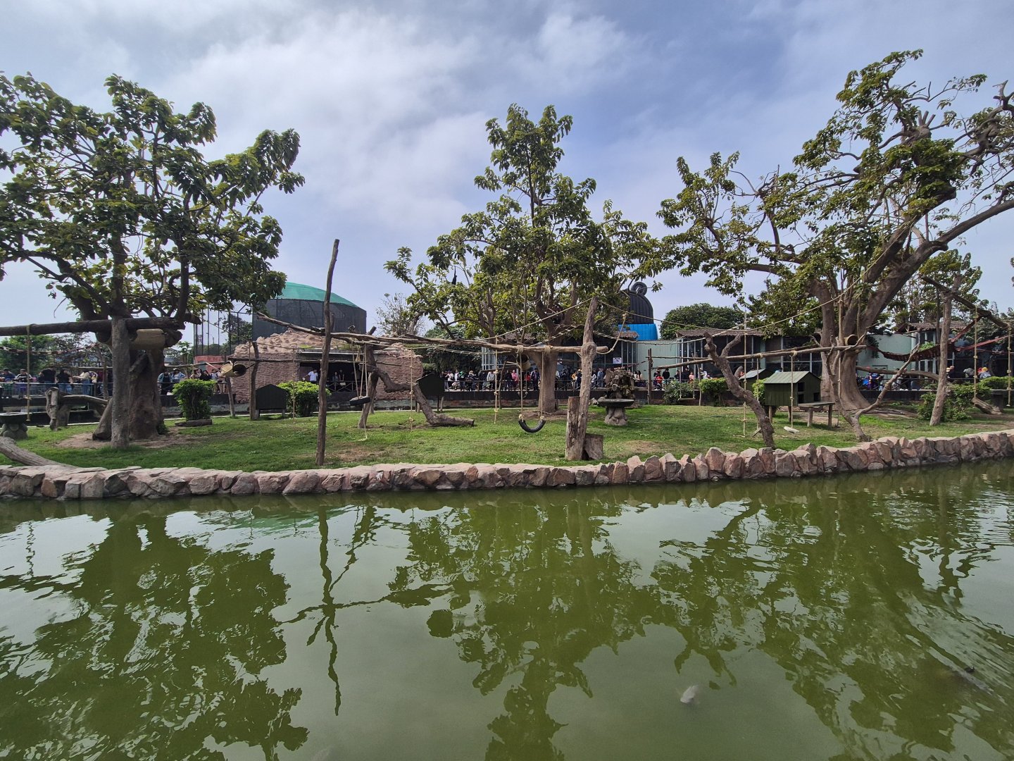 Mixed Species Island