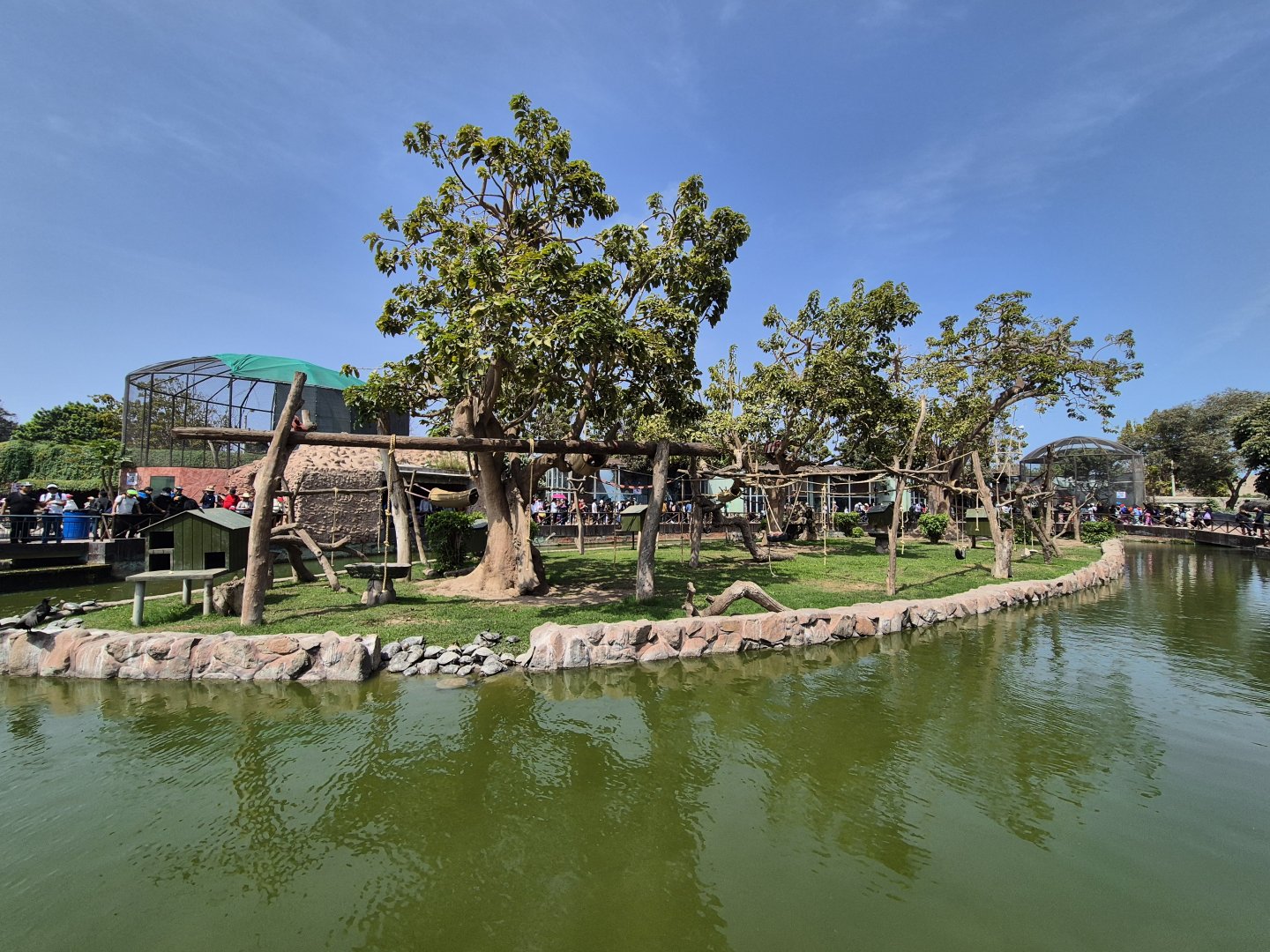 Mixed species island