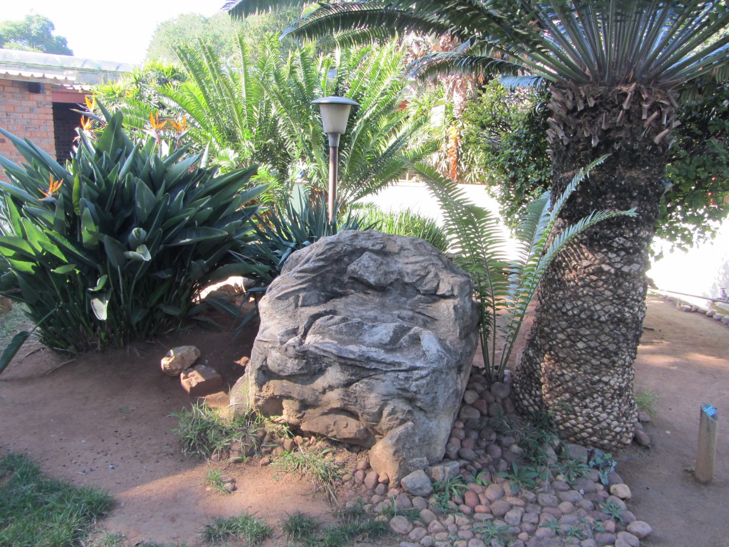 Mixed Species Reptile Exhibit