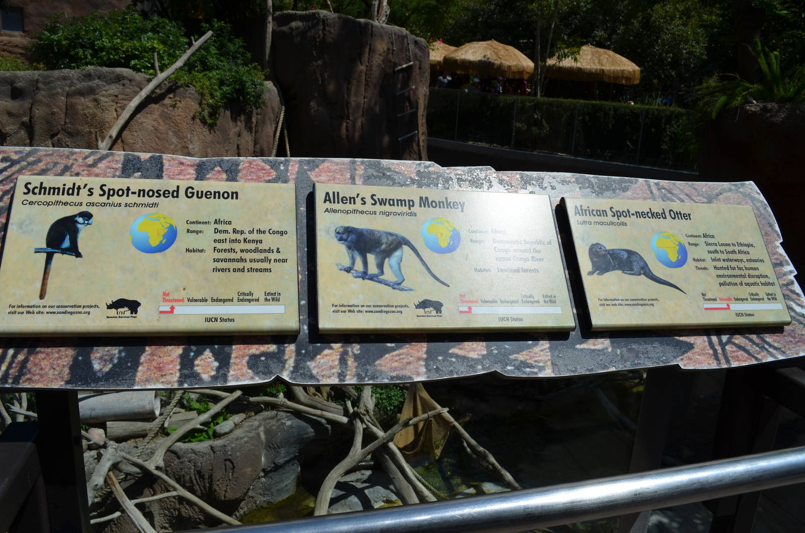 Mixed Species Signage - Lost Forest