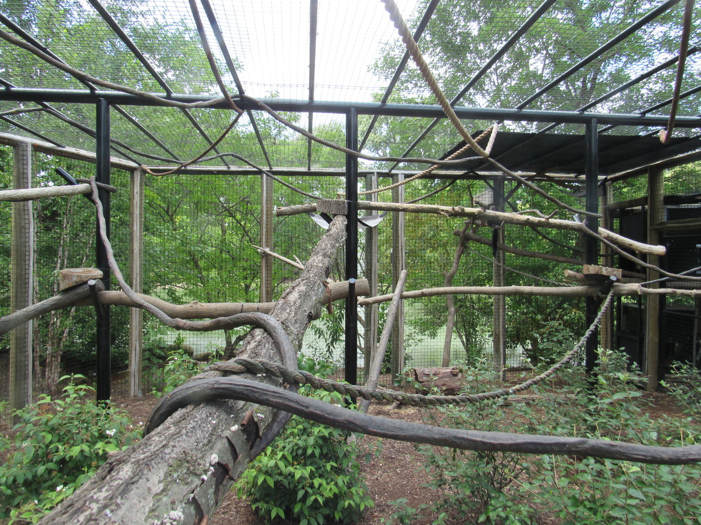 Mixed-species South American Exhibit, Zoo Central