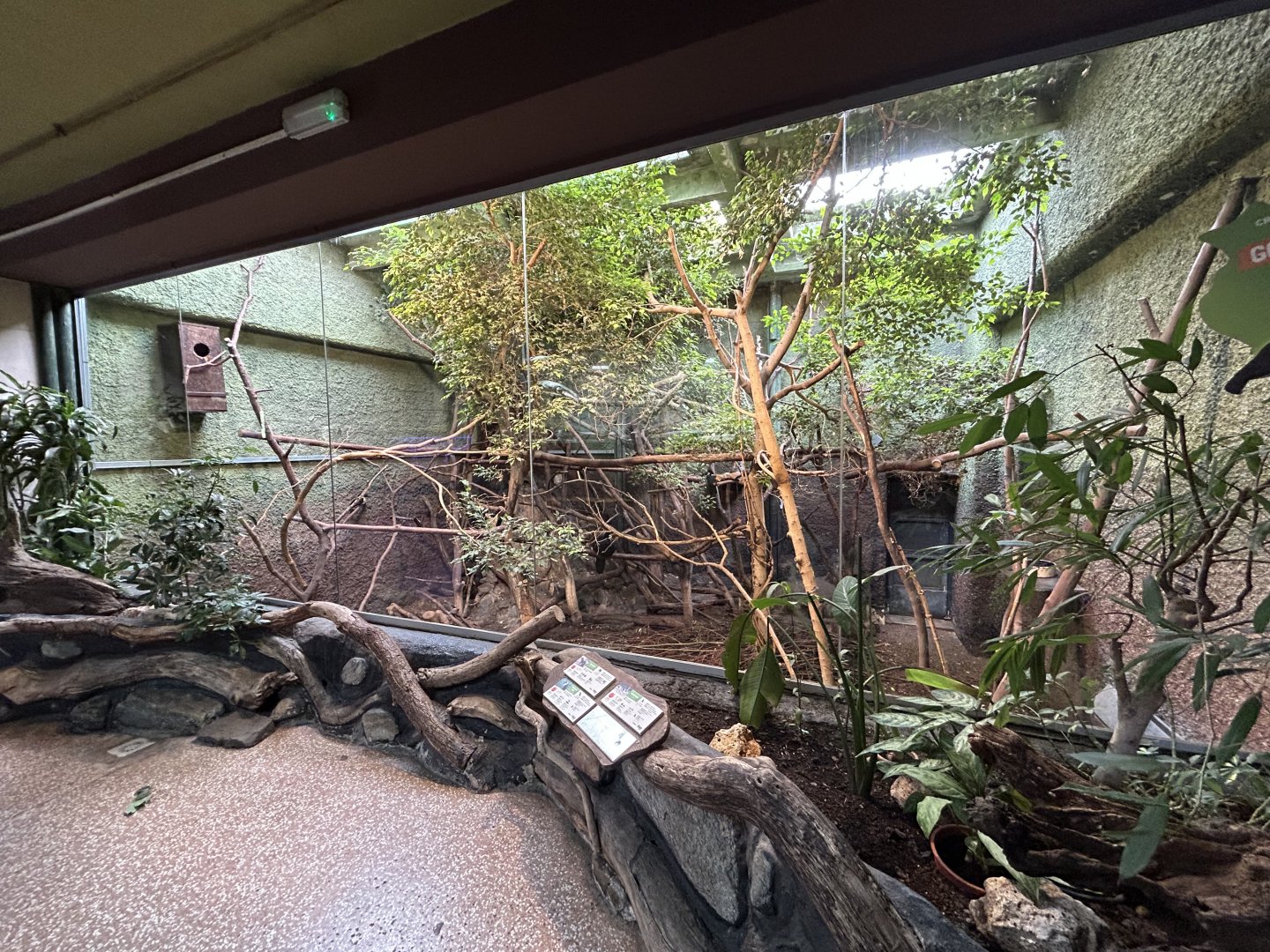 Mixed-species Tropical Exhibit