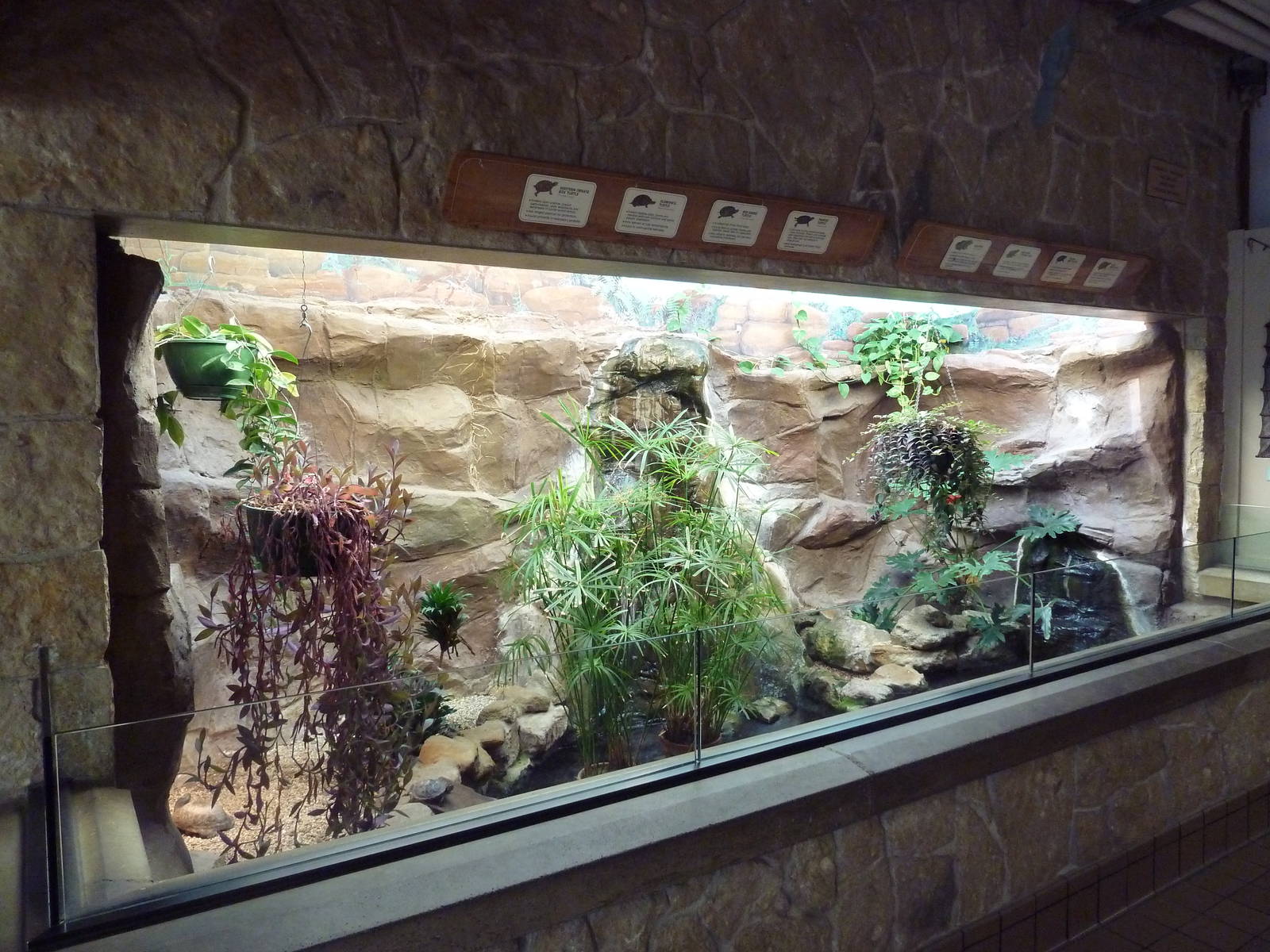 Mixed-Species Turtle Exhibit