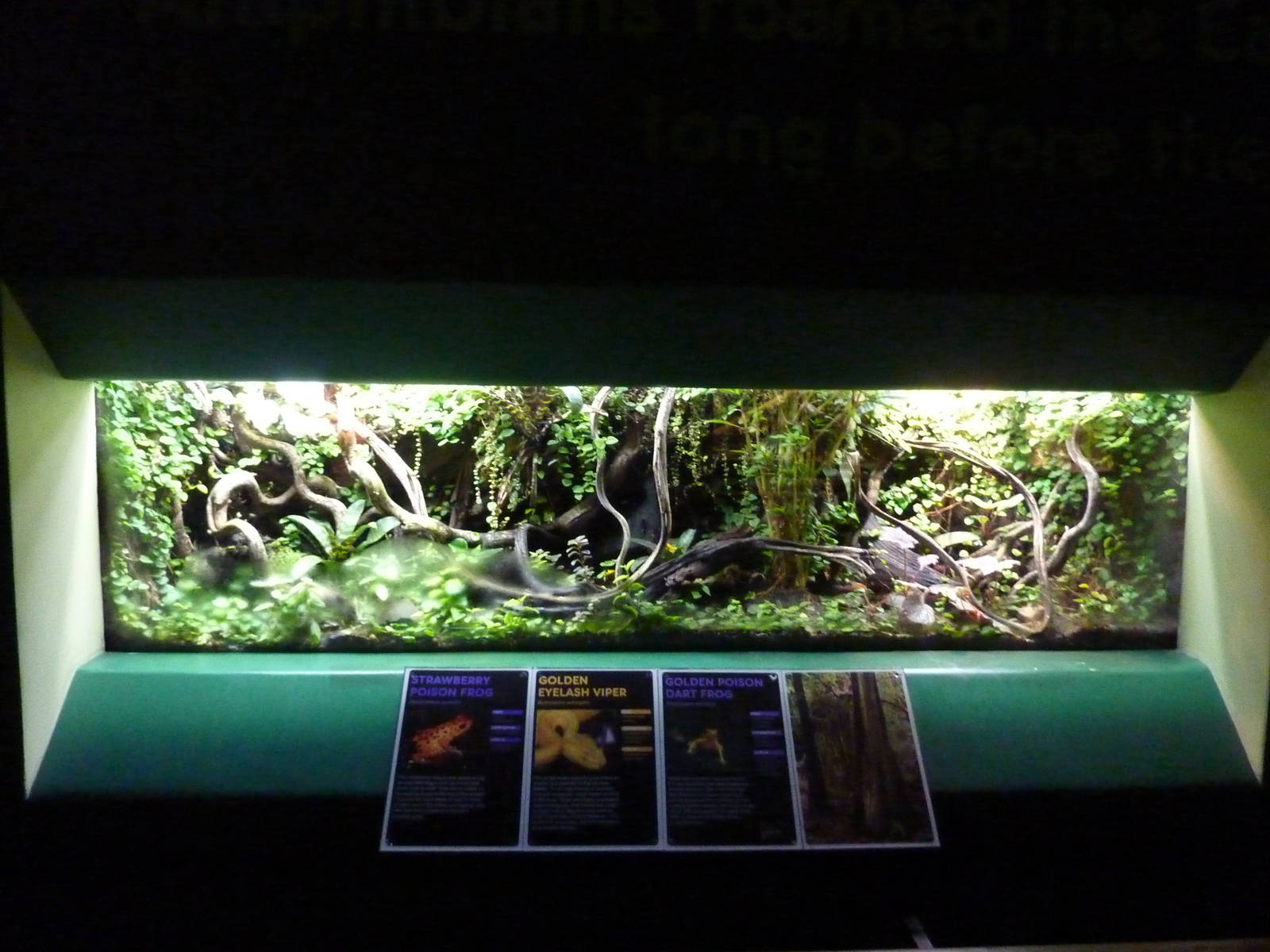 Mixed-species vivarium