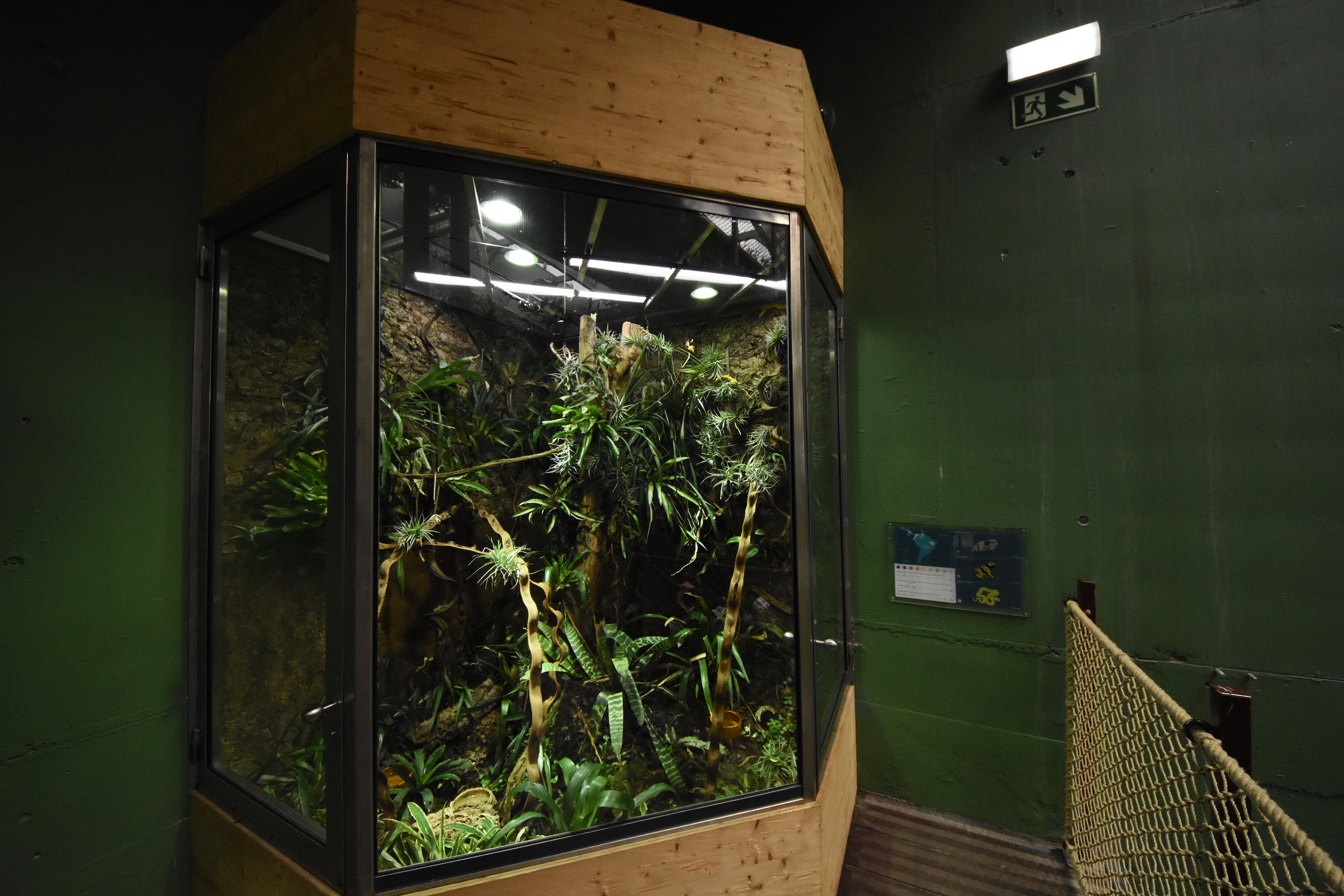 Mixed-species vivarium
