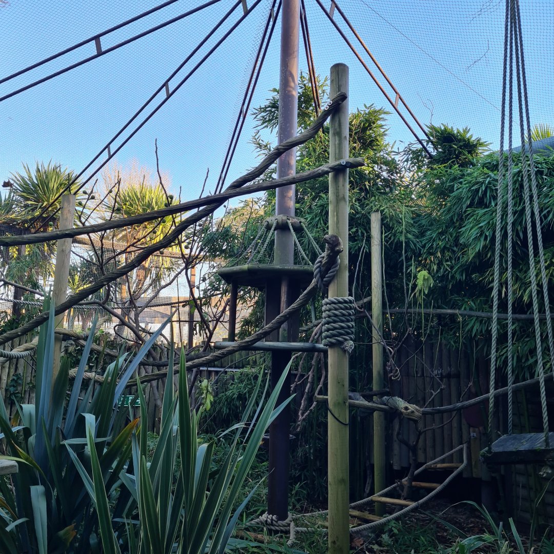 Mixed Species Walkthrough, Drusillas Park