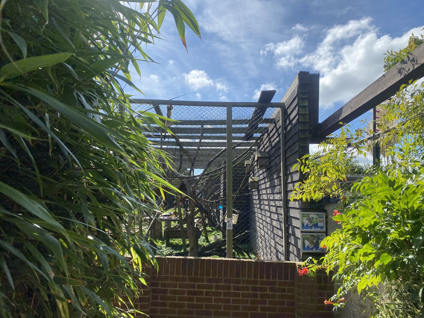 Mixed Squirrel monkey enclosure 140923