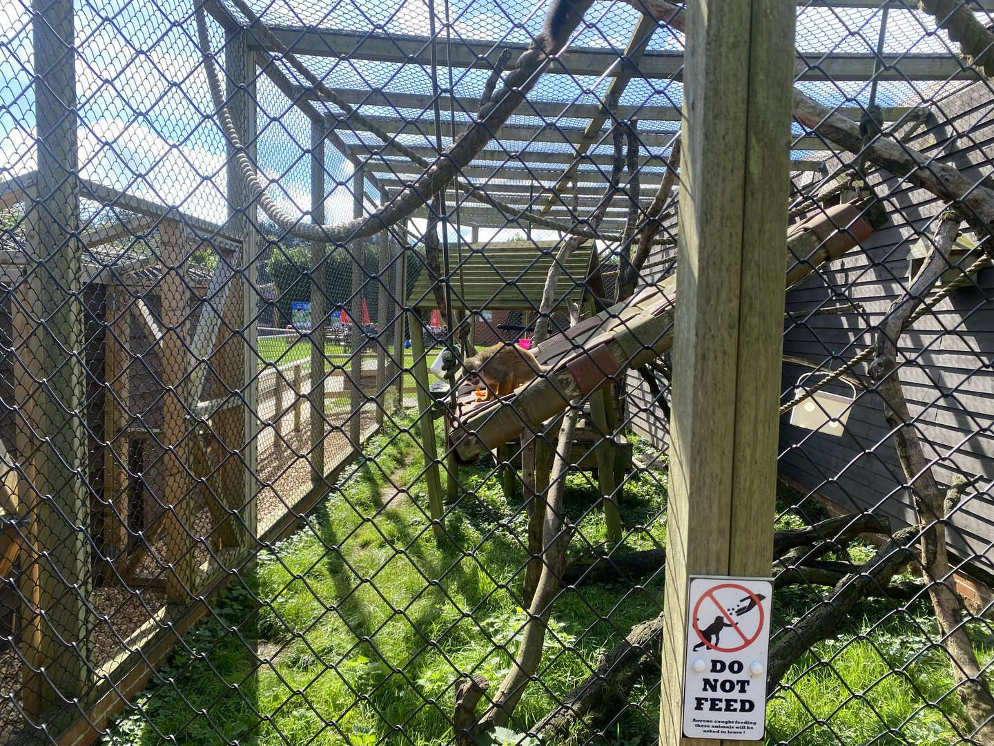 Mixed Squirrel monkey enclosure 140923