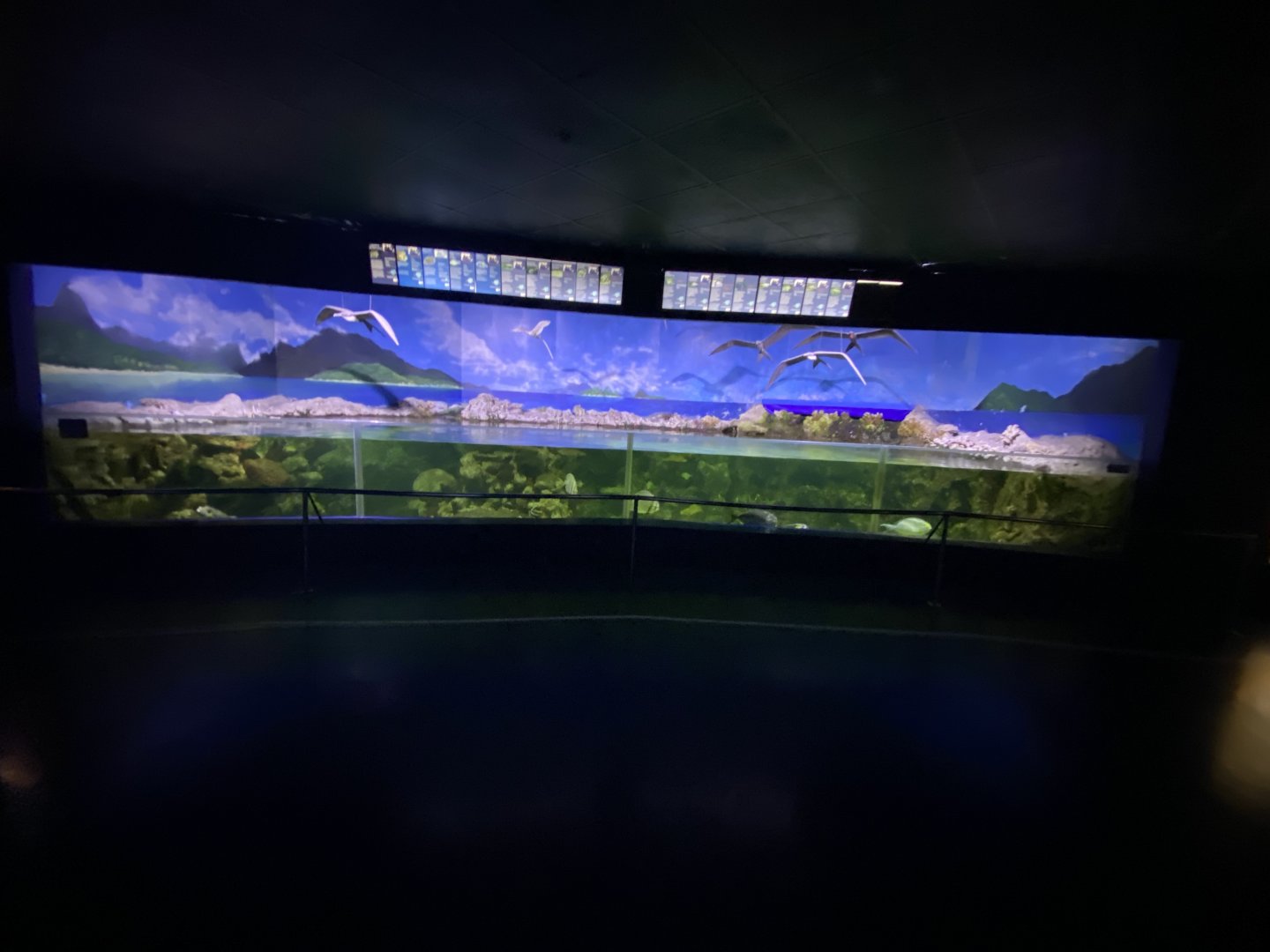 Mixed tidal aquarium