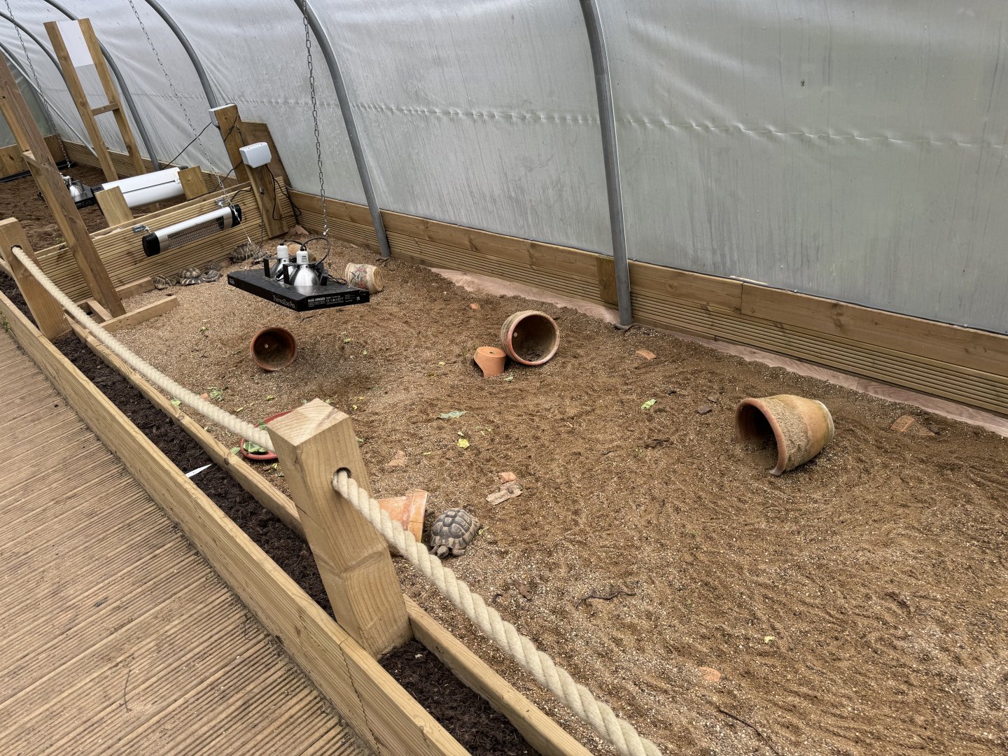 Mixed Tortoise Enclosure at Bridlington Animal Park (July 2024)
