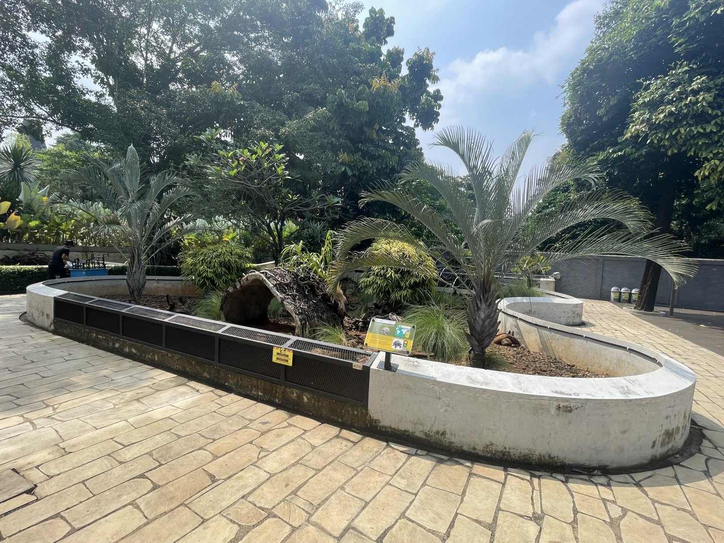 mixed tortoise & turtle exhibit - museum komodo