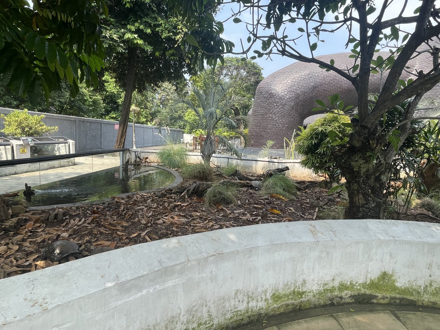 mixed tortoise & turtle exhibit - museum komodo