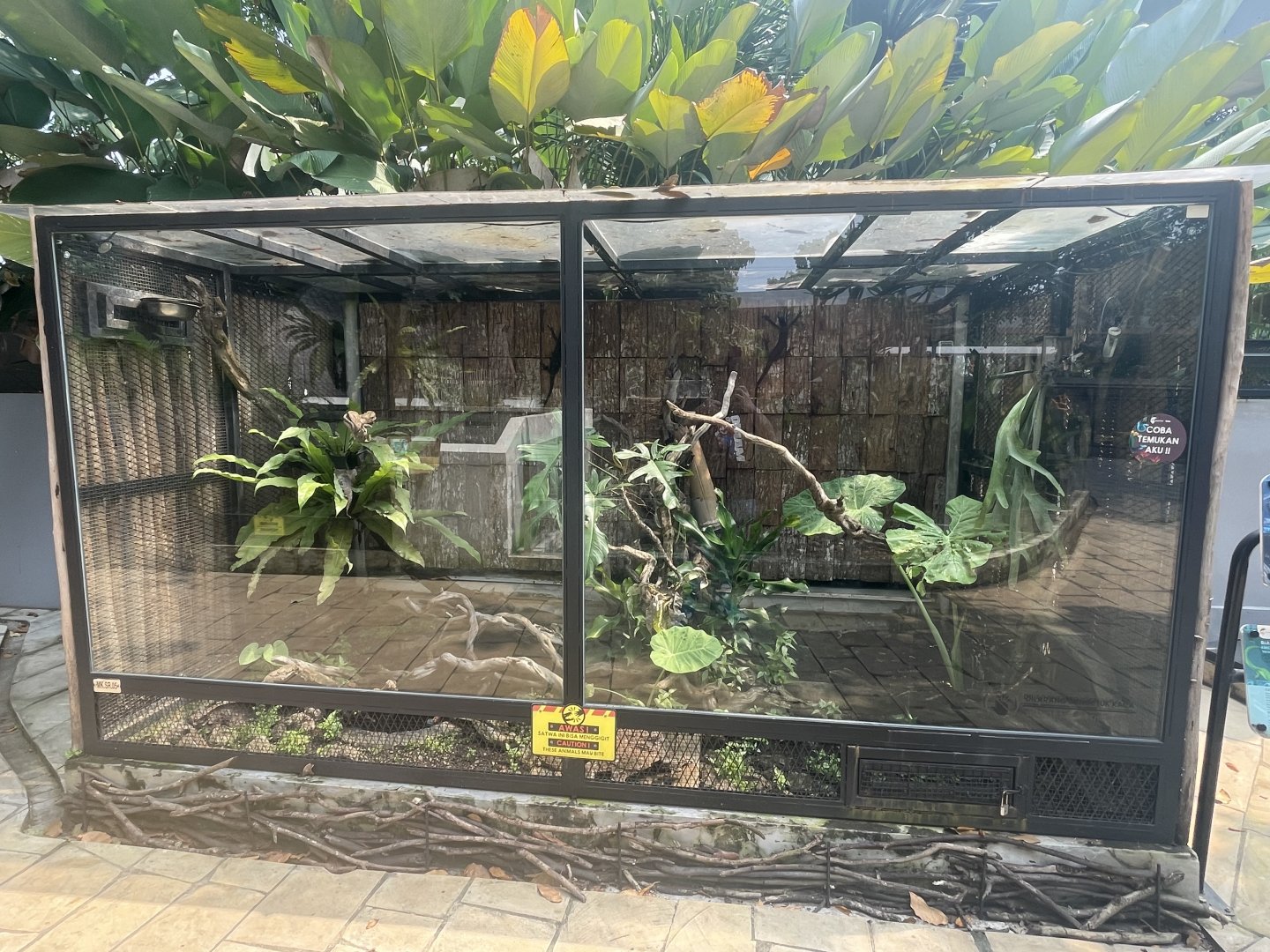 mixed tree monitor exhibit - museum komodo