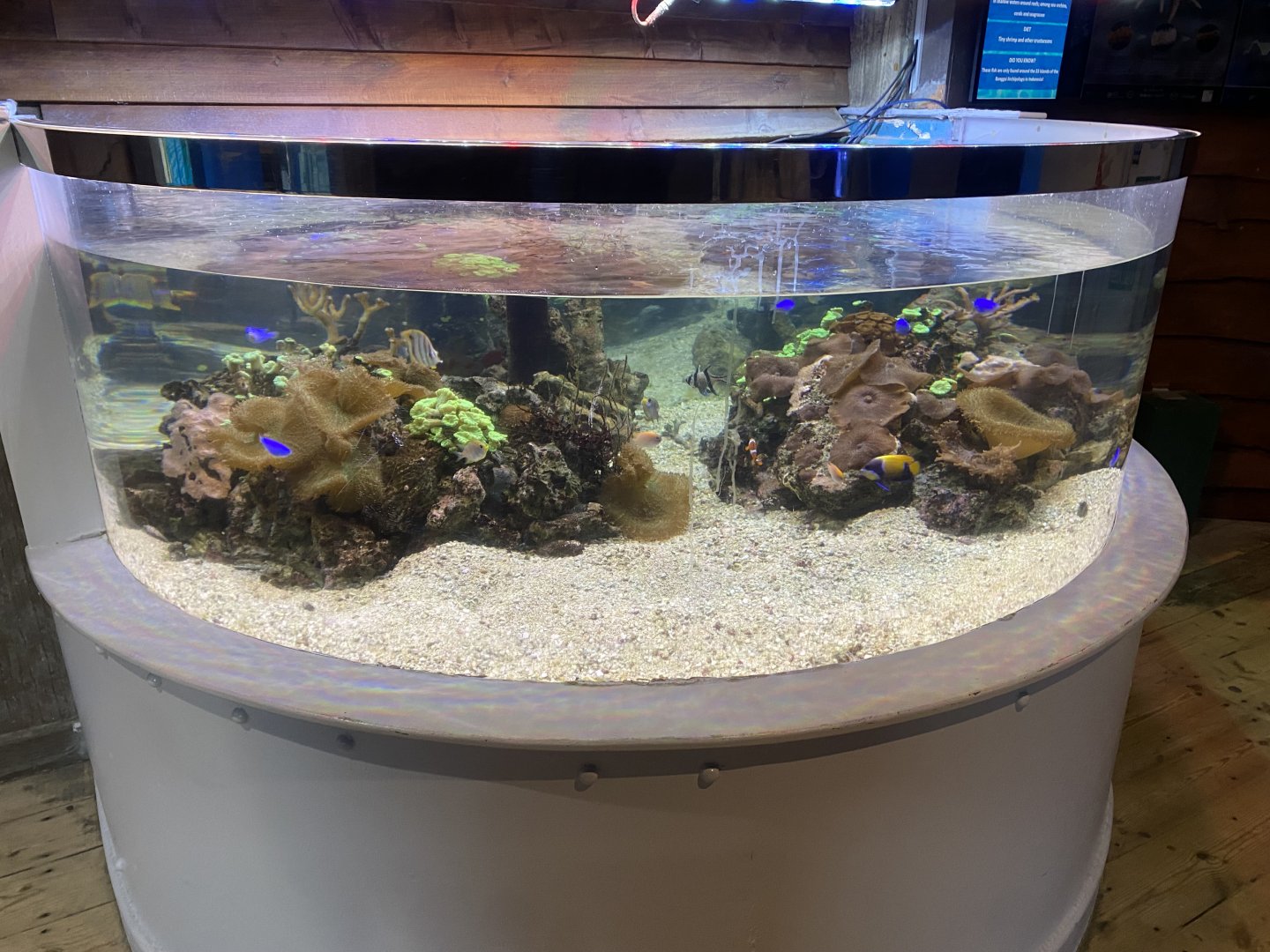 Mixed tropical exhibit 070124